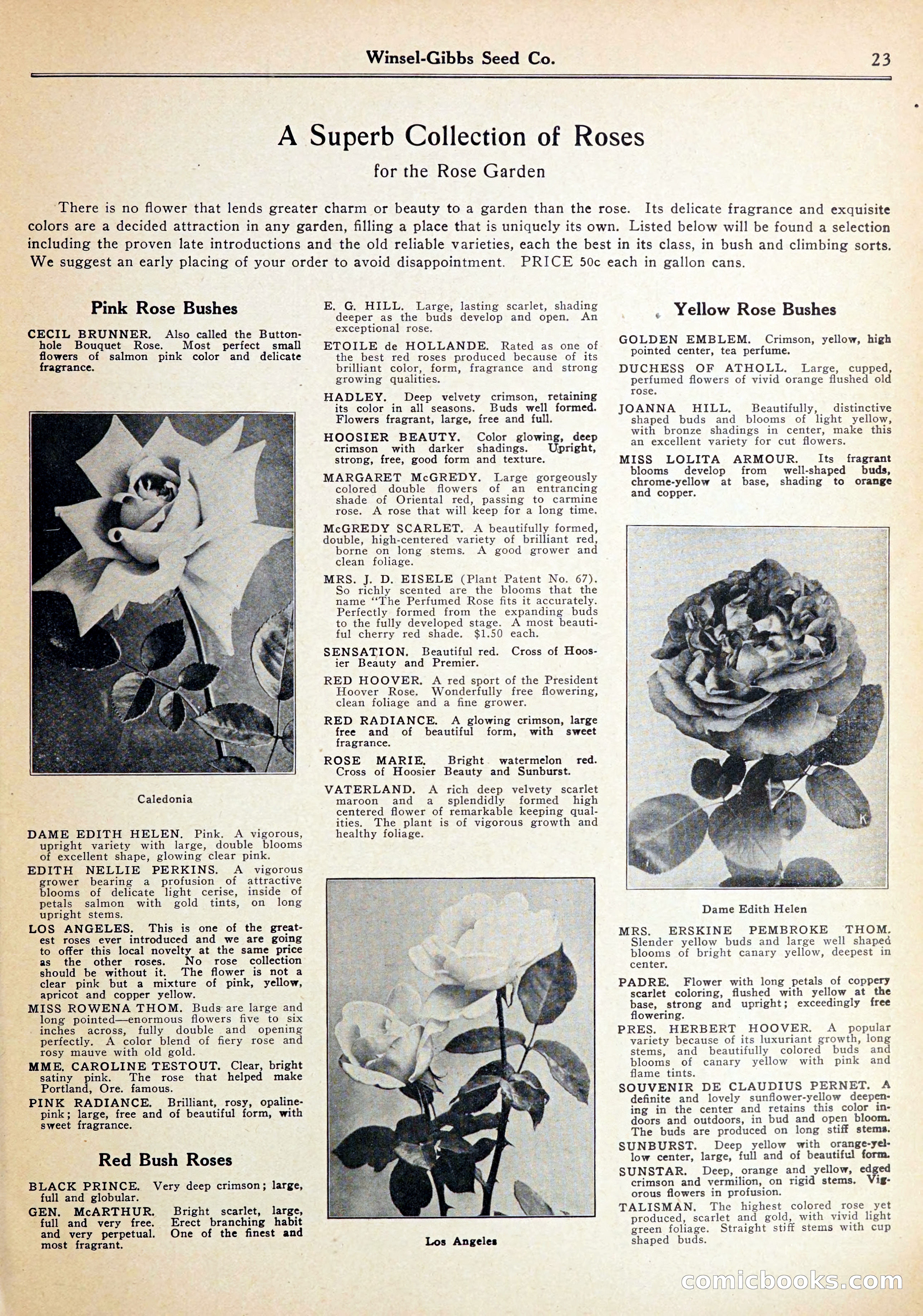 Blue Book of Gardening — page 27 of 70