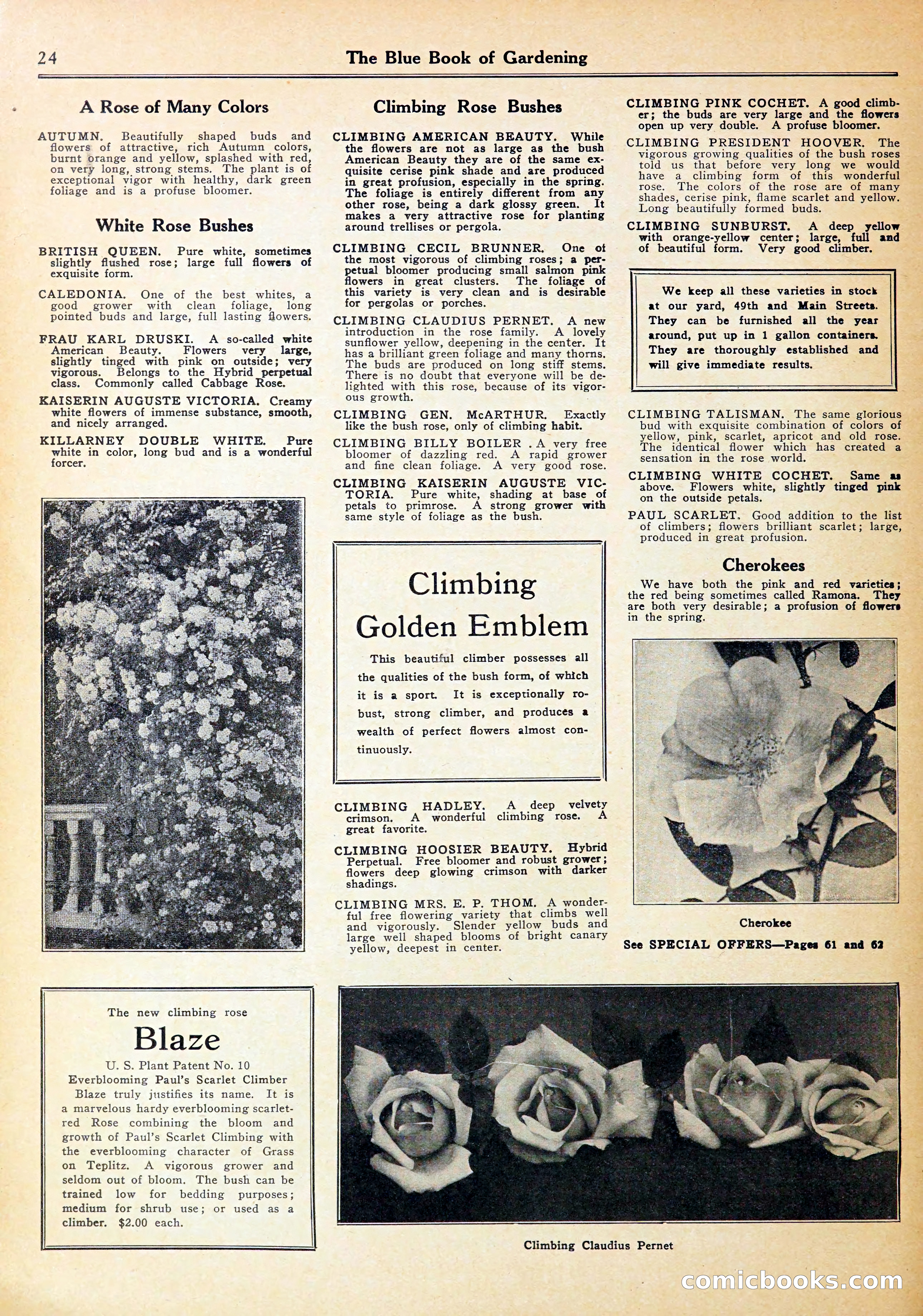 Blue Book of Gardening — page 28 of 70
