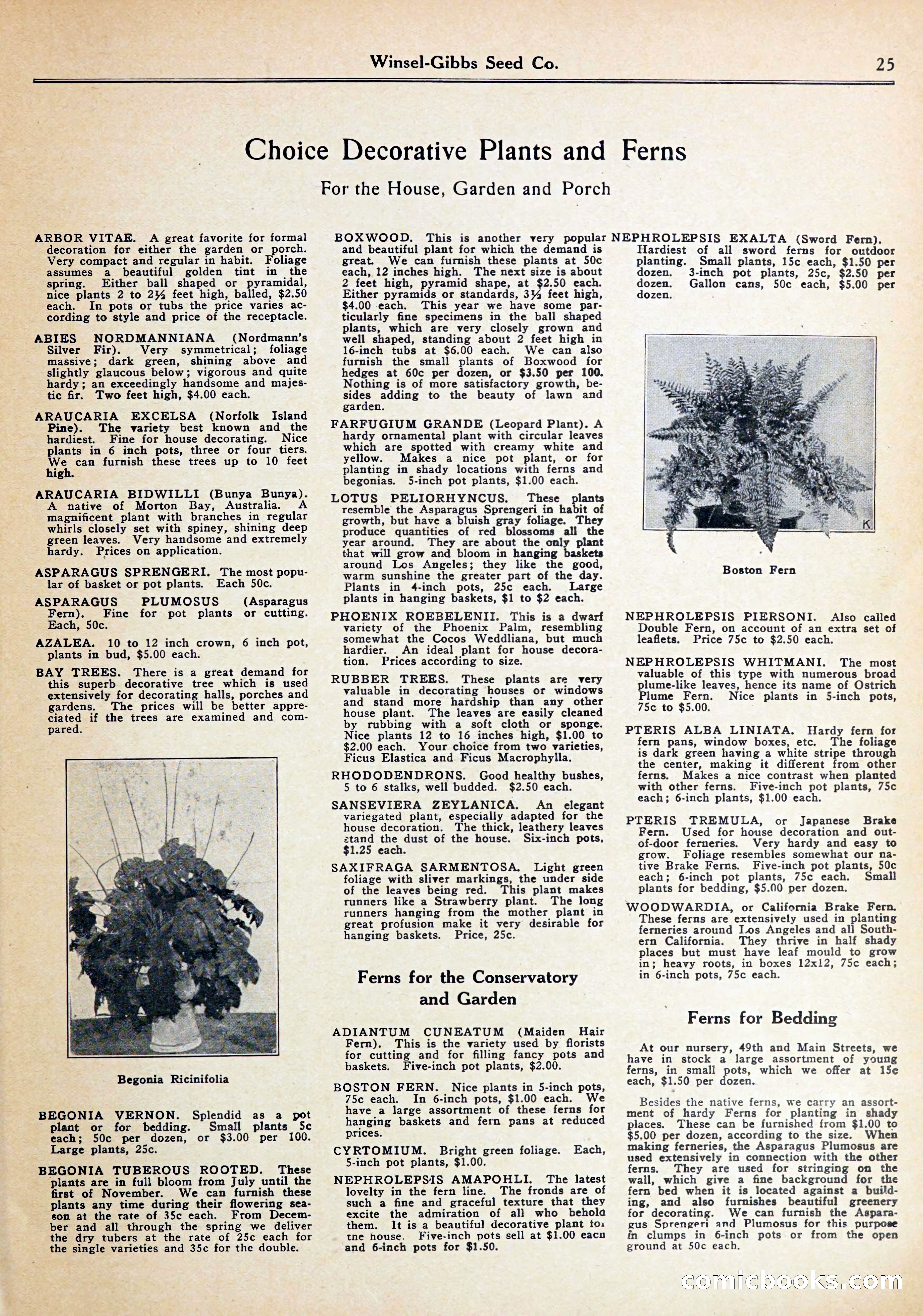 Blue Book of Gardening — page 29 of 70