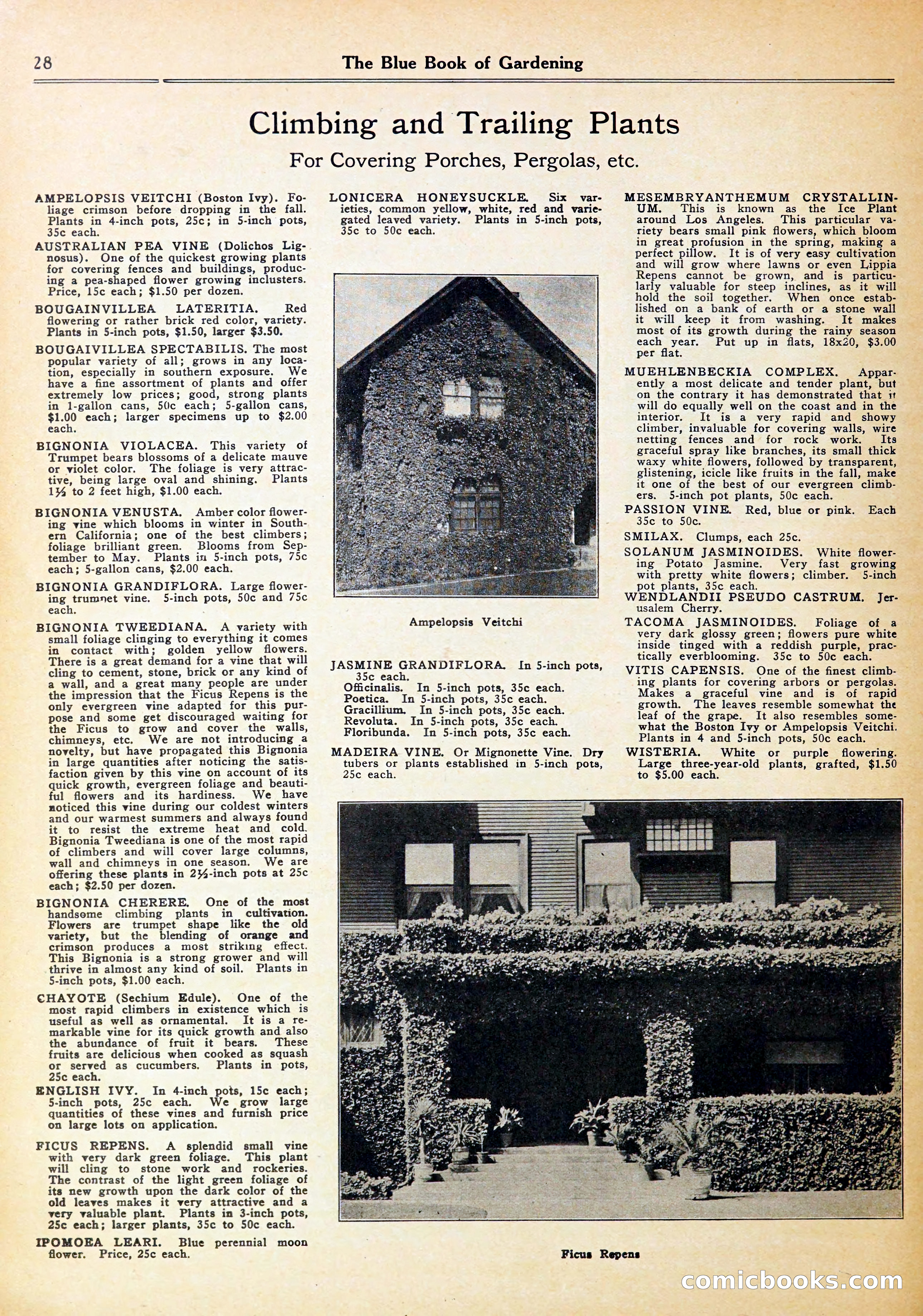 Blue Book of Gardening — page 32 of 70