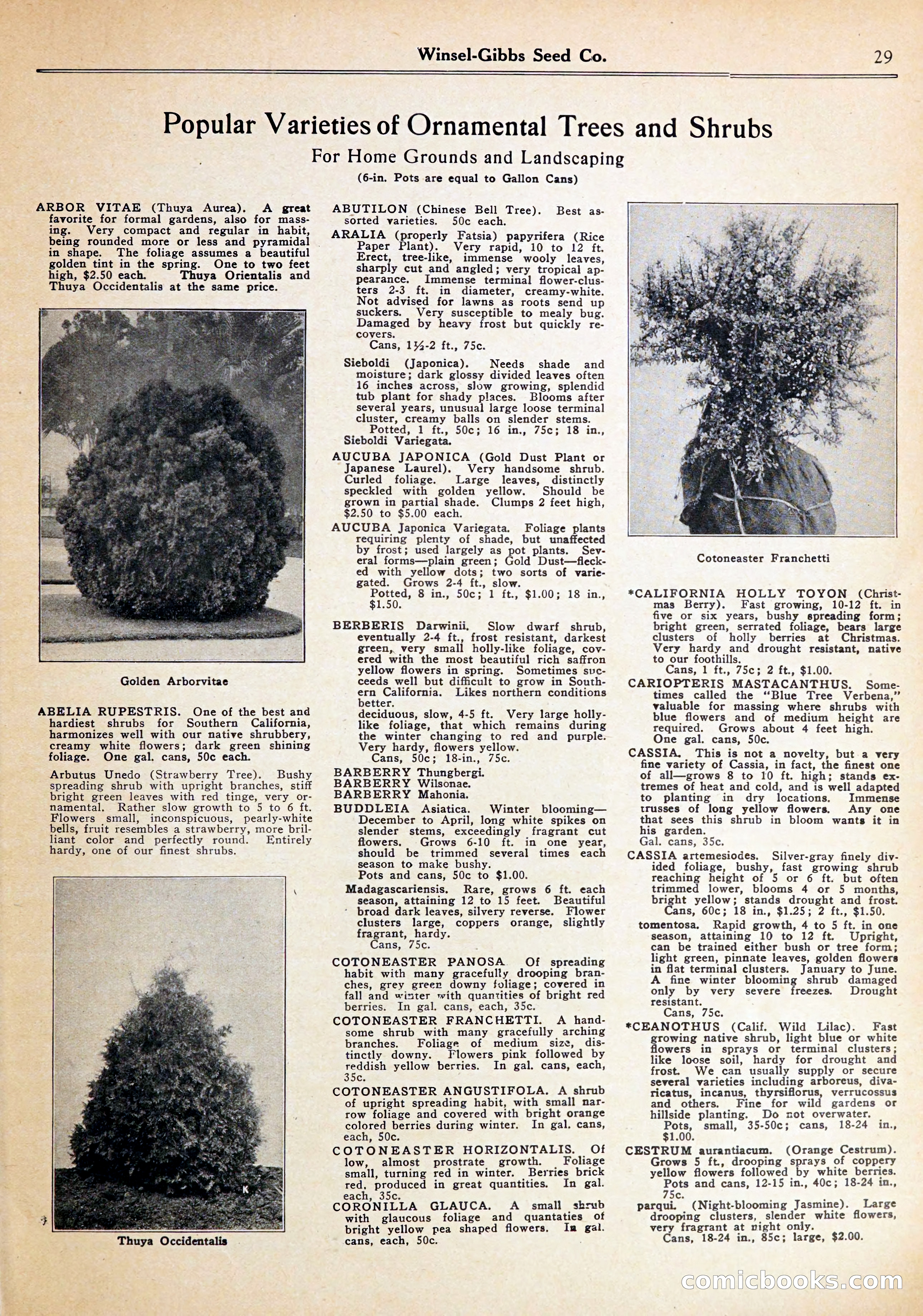 Blue Book of Gardening — page 33 of 70