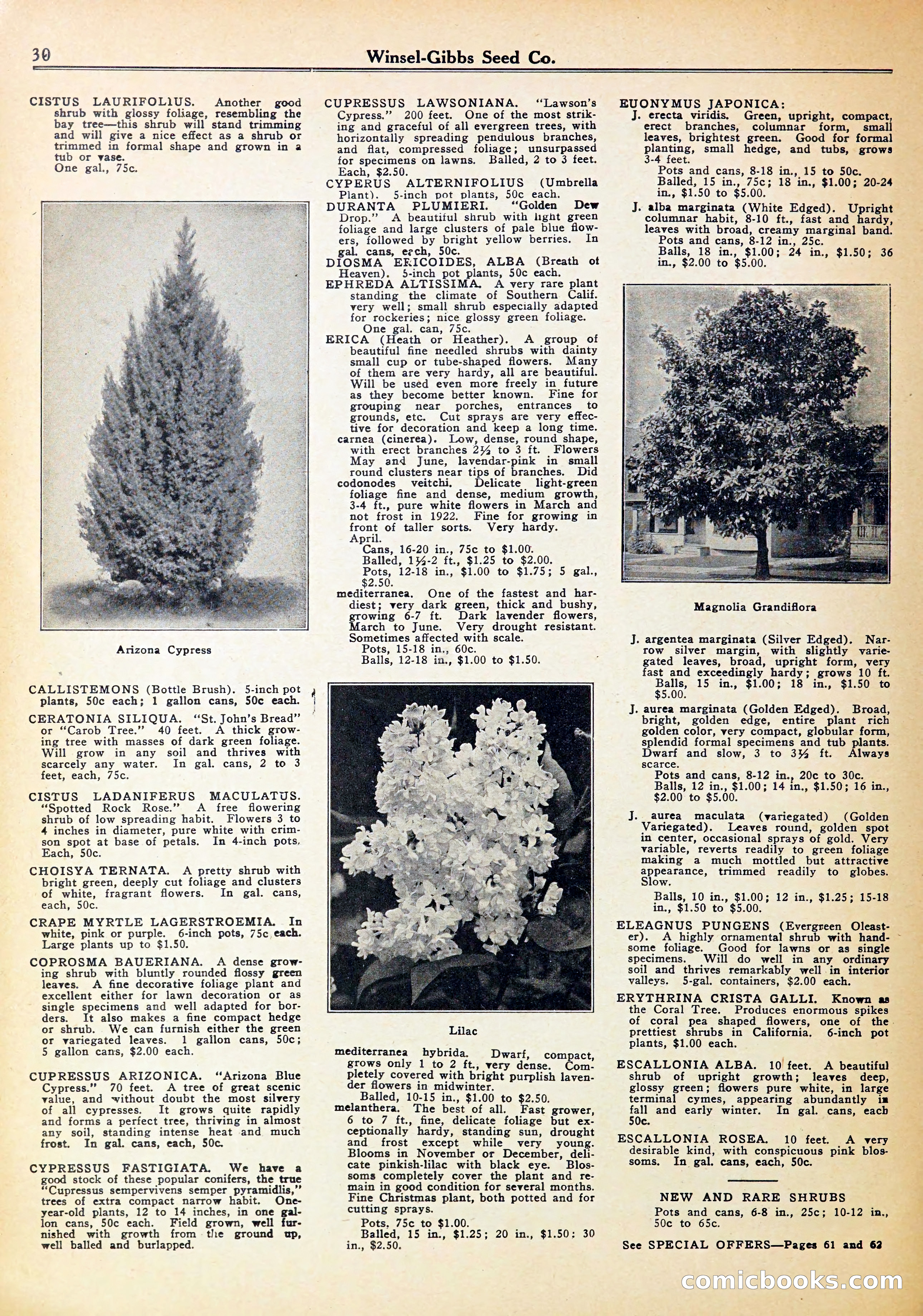 Blue Book of Gardening — page 34 of 70