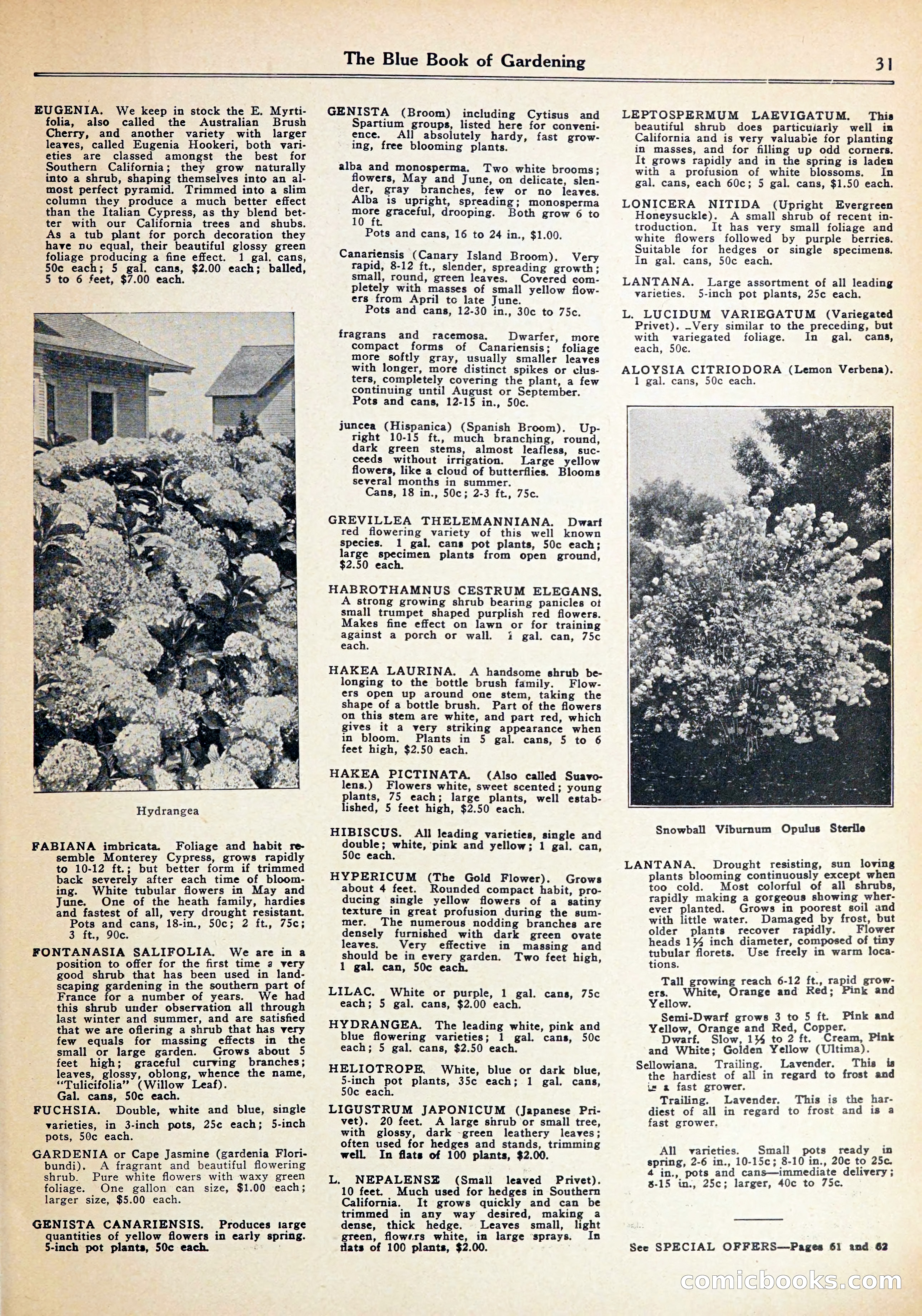 Blue Book of Gardening — page 35 of 70