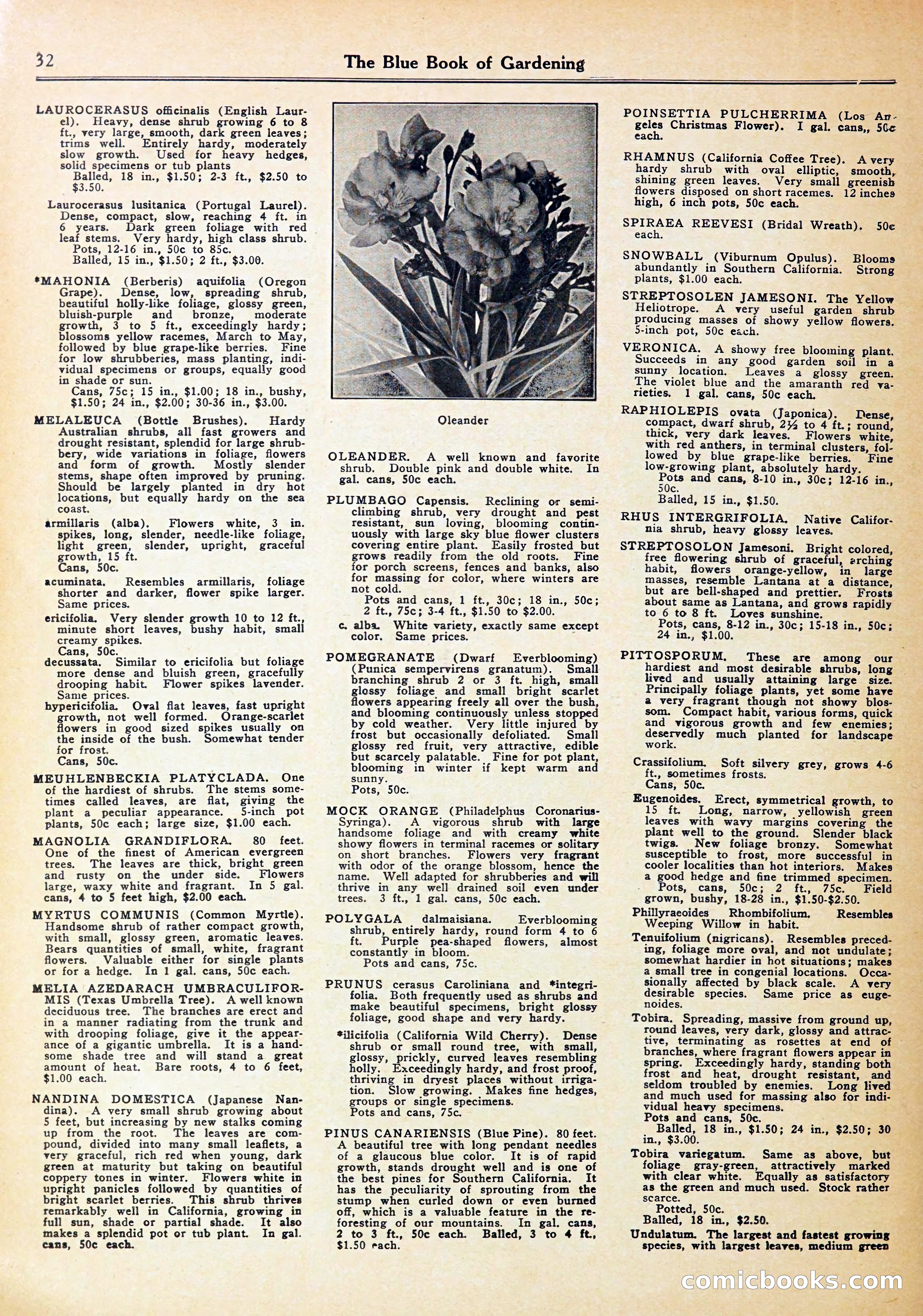 Blue Book of Gardening — page 36 of 70