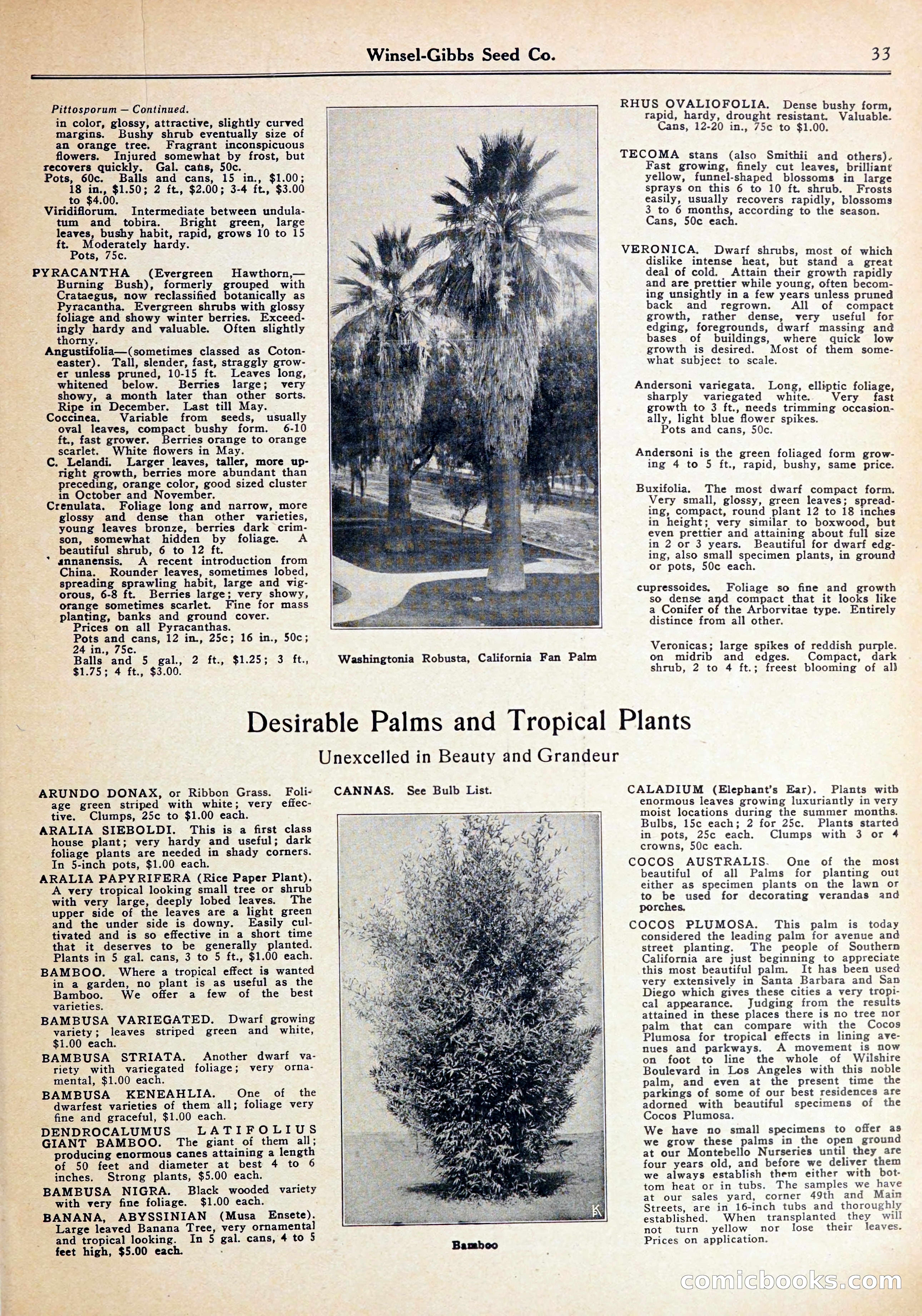 Blue Book of Gardening — page 37 of 70