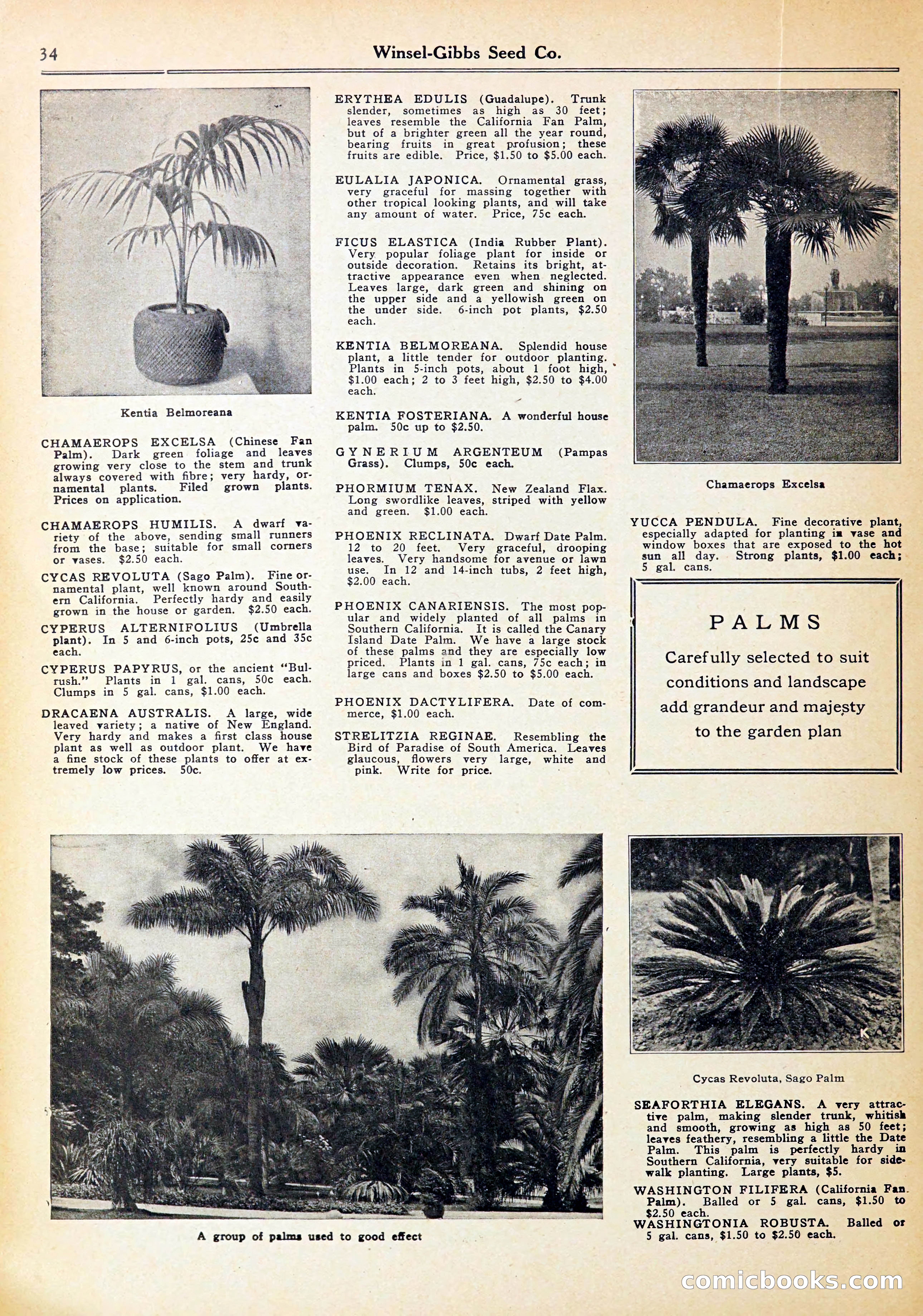 Blue Book of Gardening — page 38 of 70