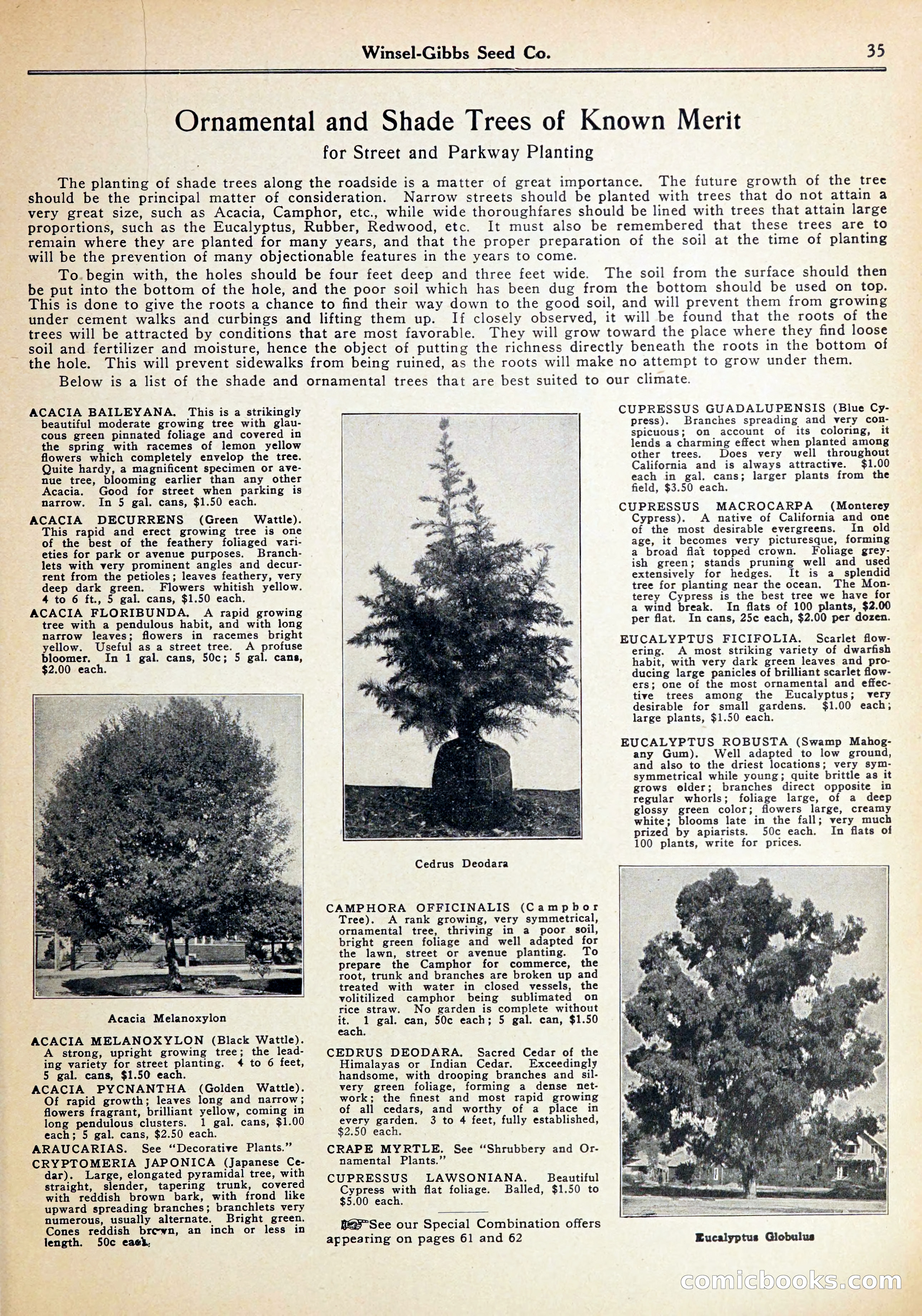 Blue Book of Gardening — page 39 of 70