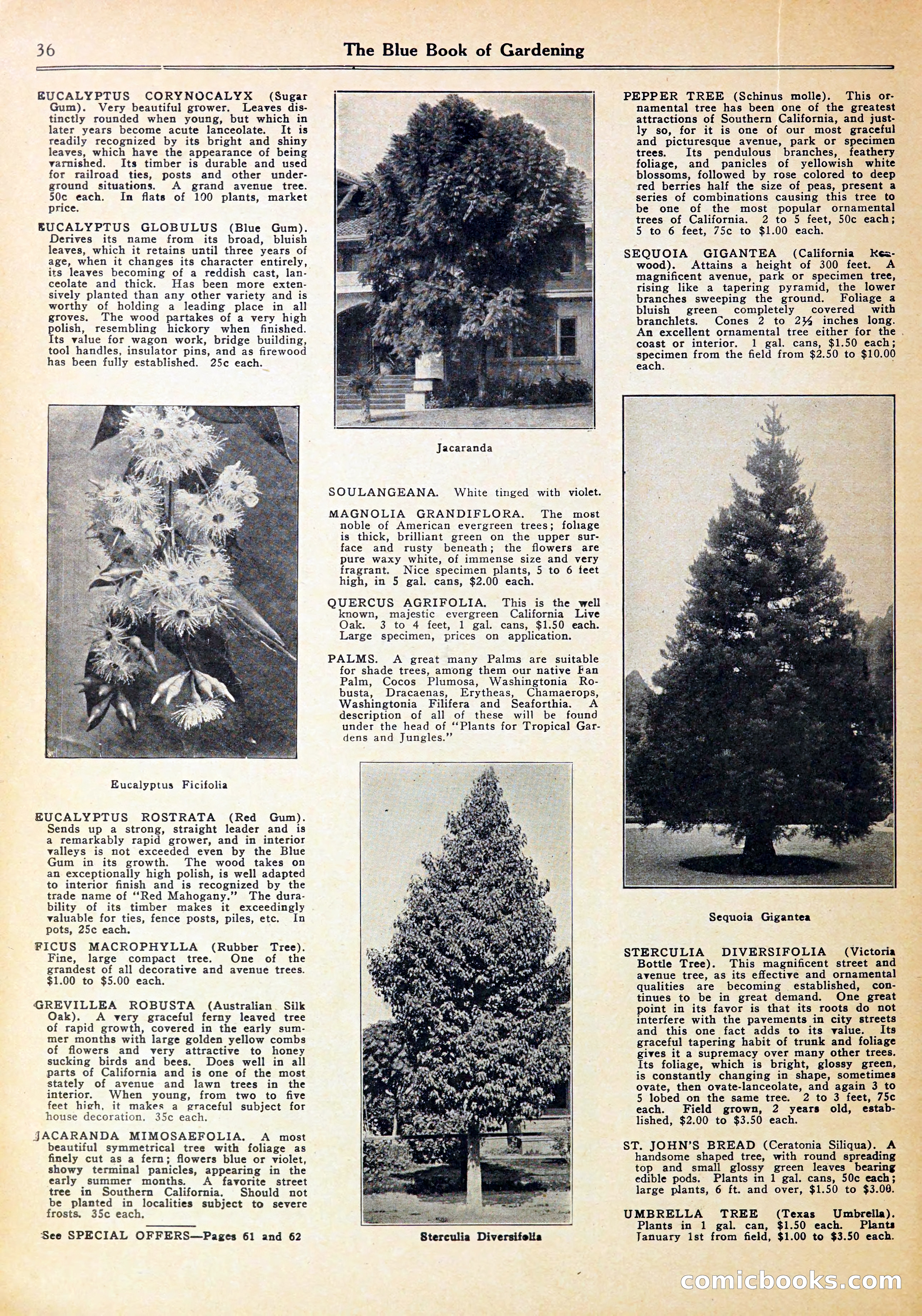 Blue Book of Gardening — page 40 of 70