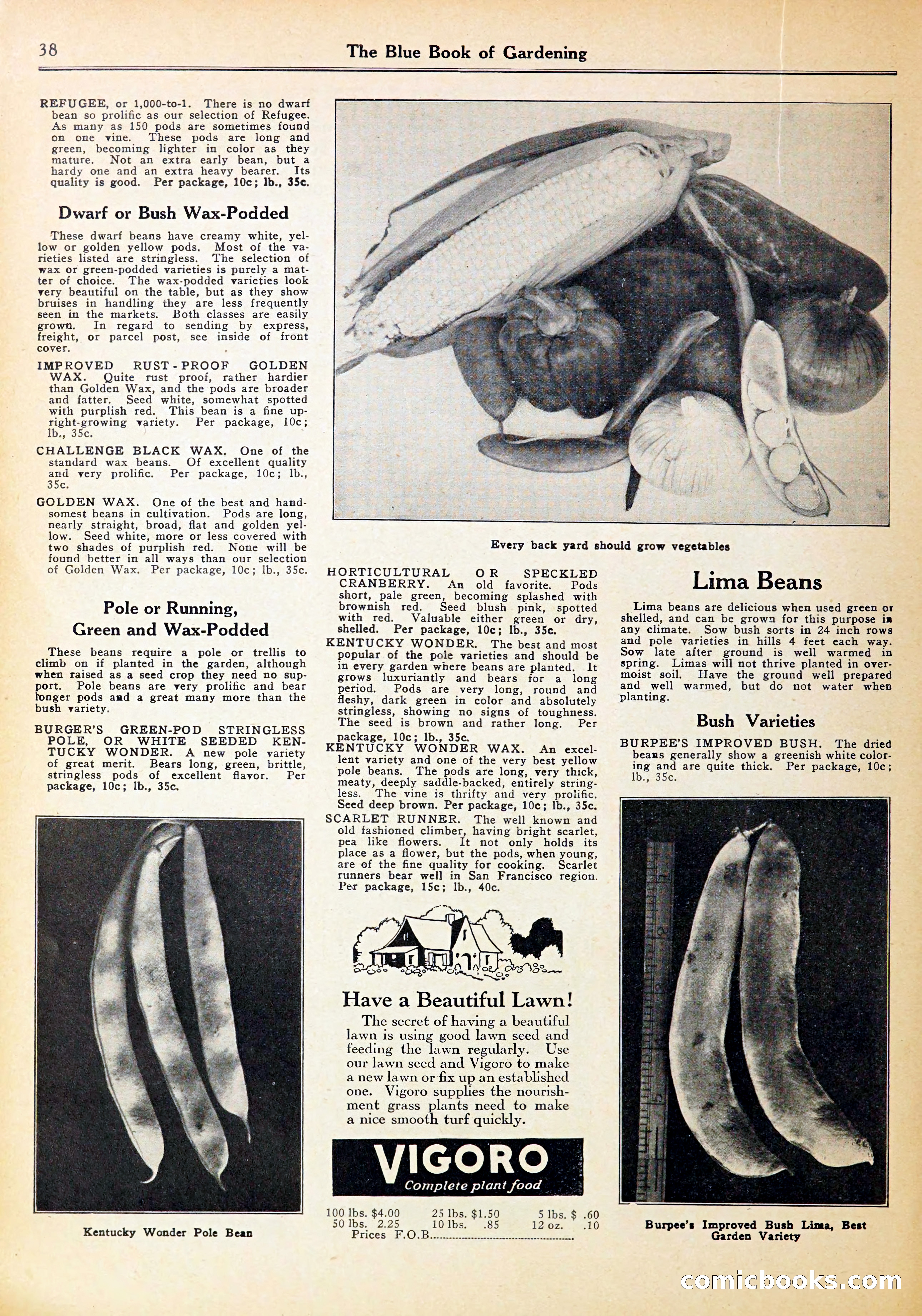 Blue Book of Gardening — page 42 of 70