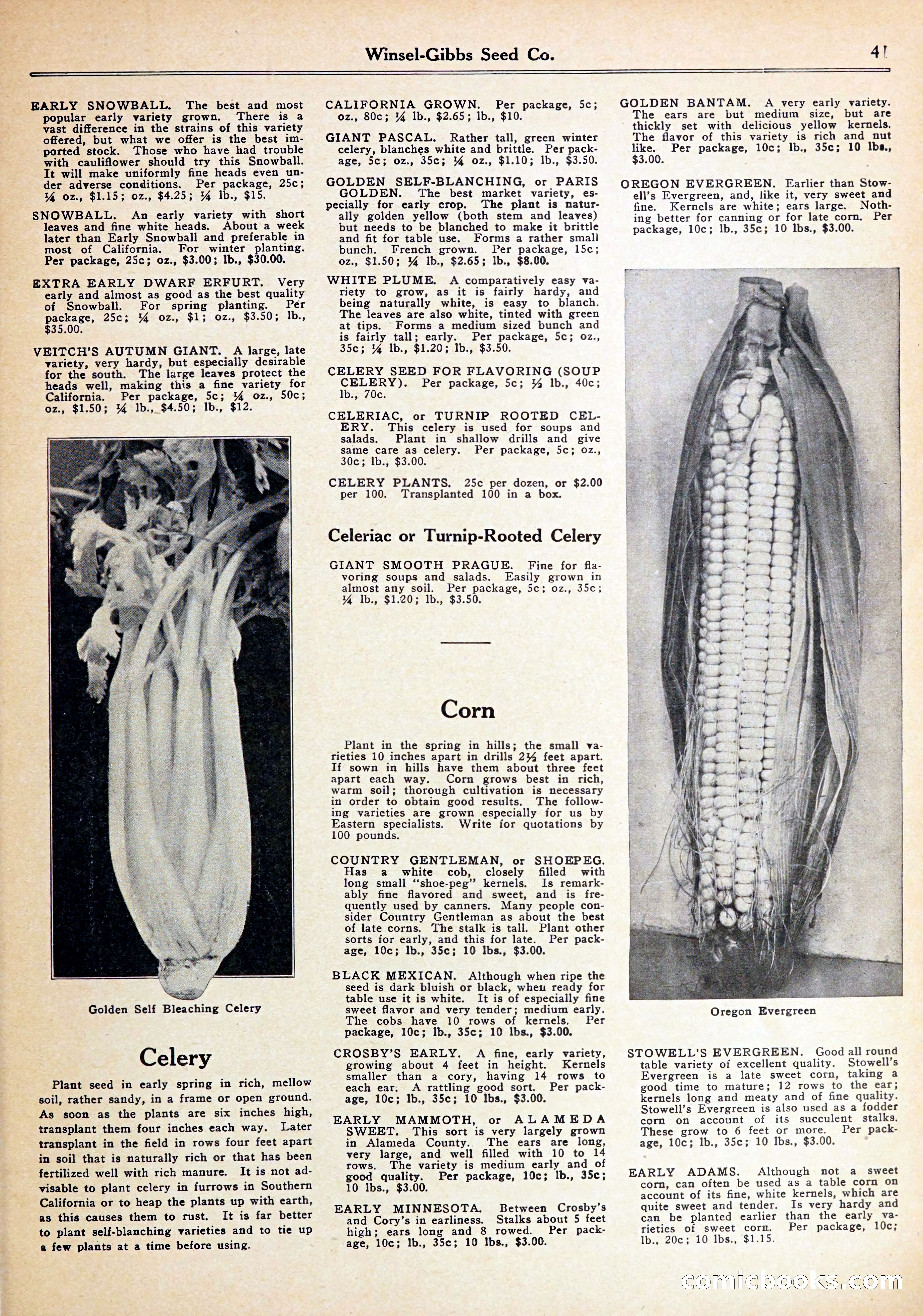 Blue Book of Gardening — page 45 of 70