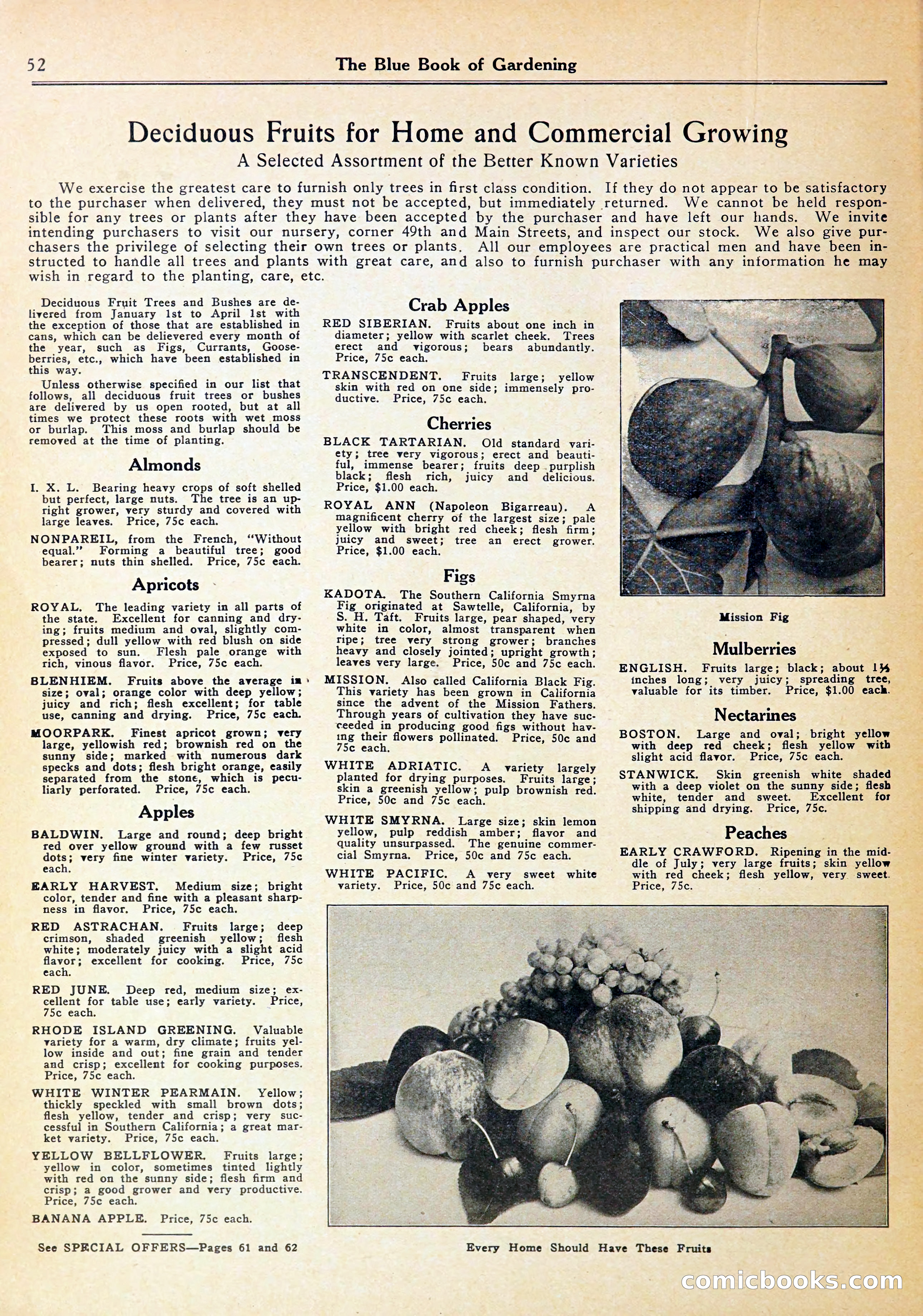 Blue Book of Gardening — page 56 of 70