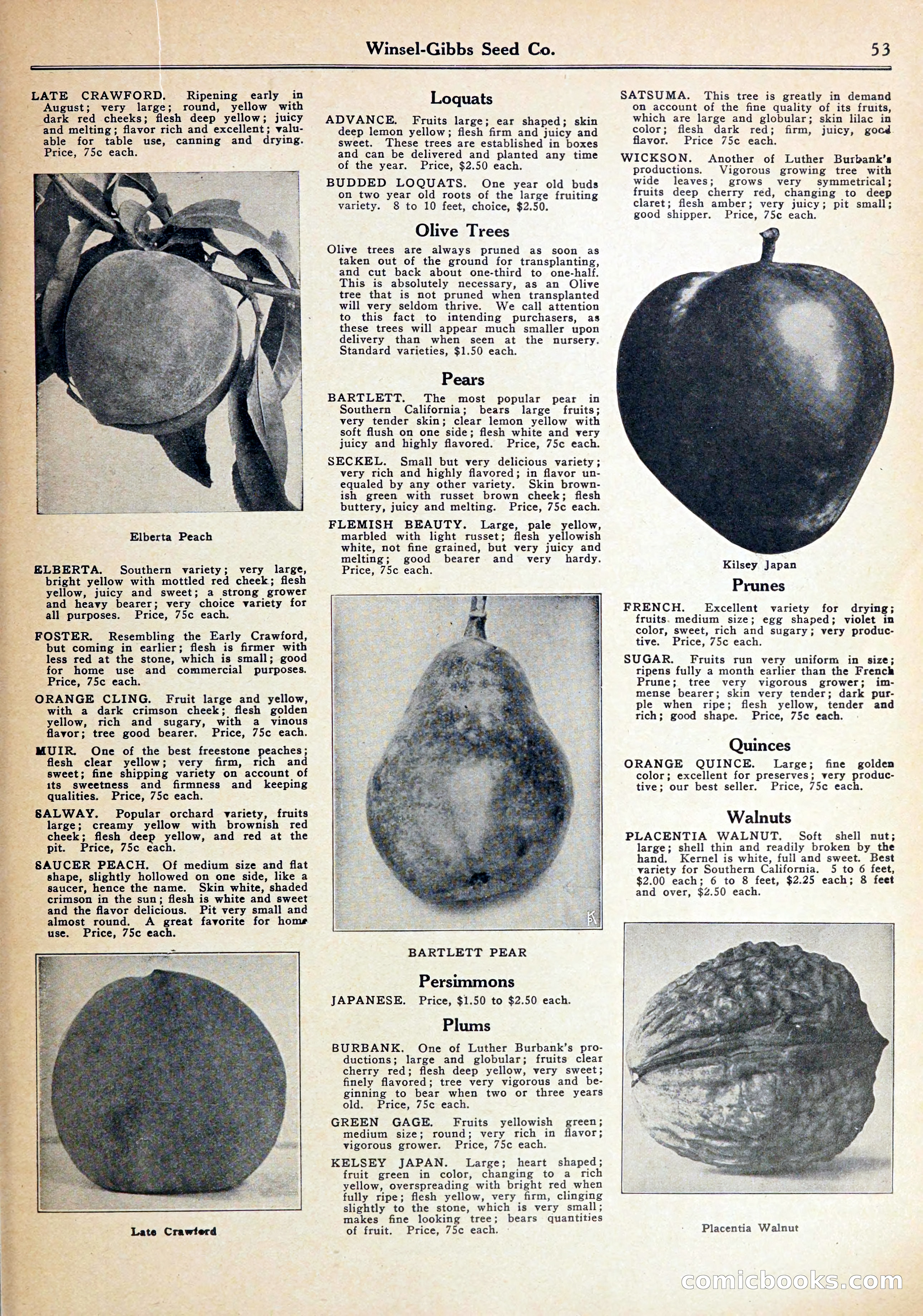 Blue Book of Gardening — page 57 of 70