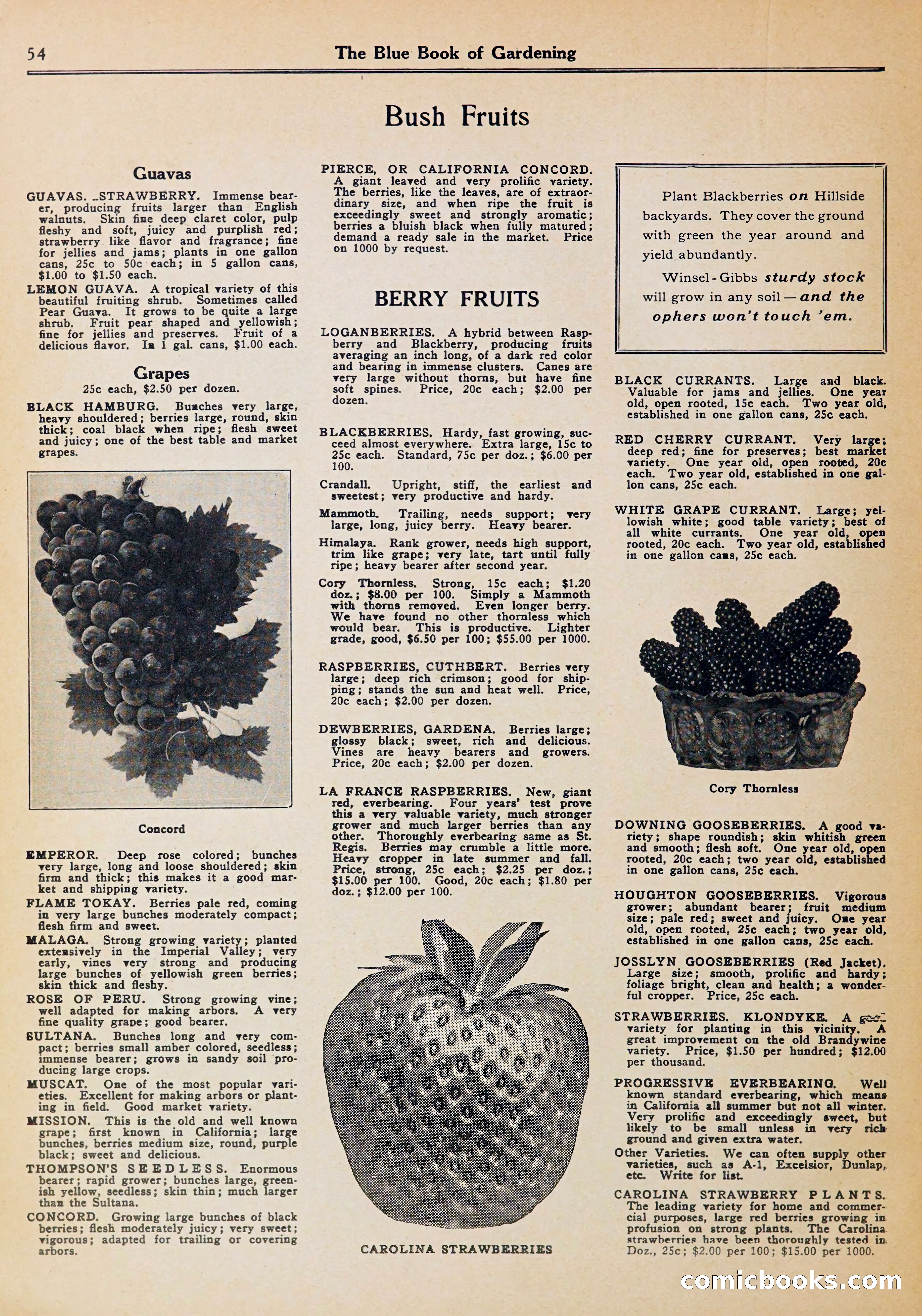 Blue Book of Gardening — page 58 of 70