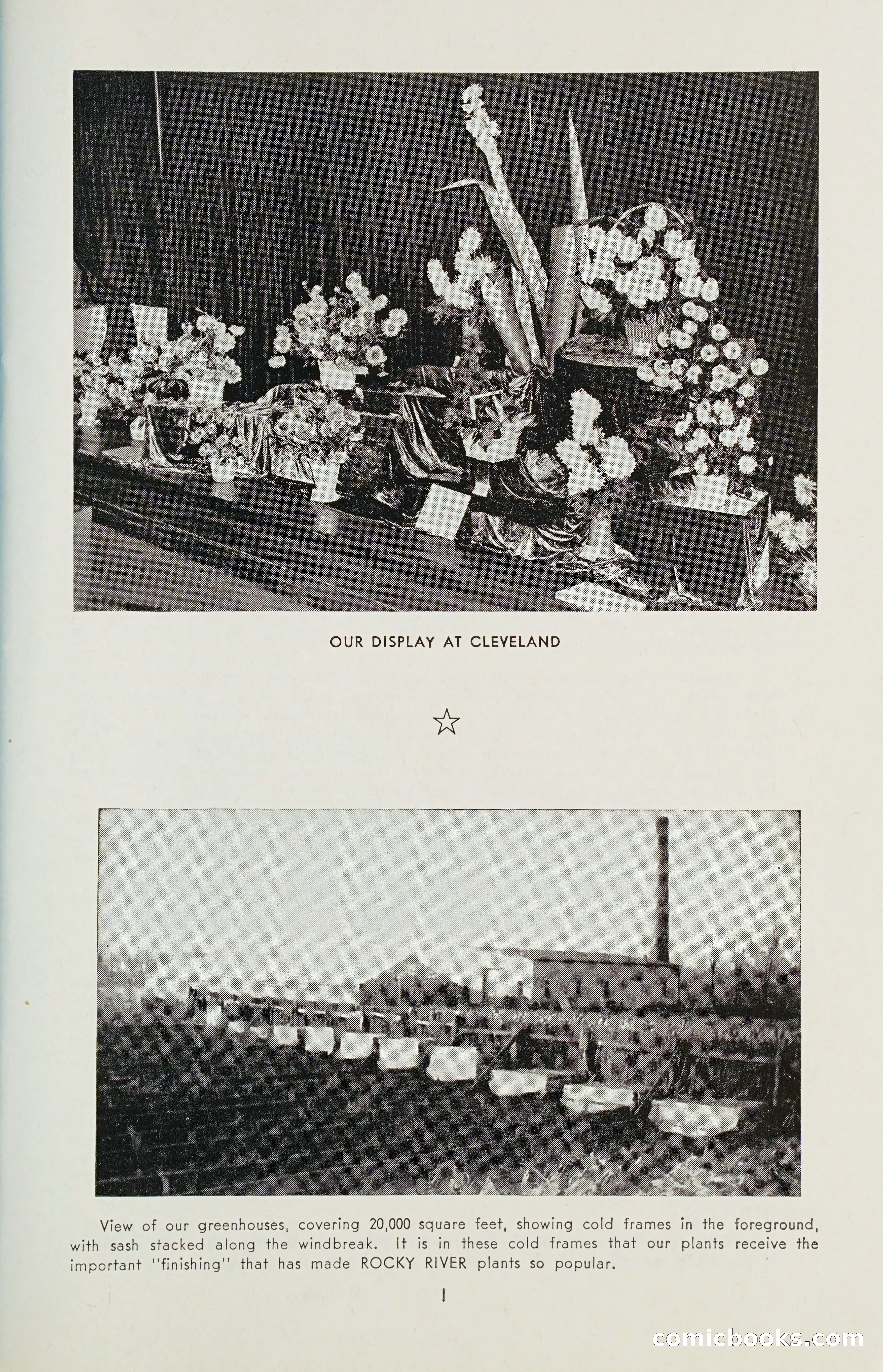 The Dahlia Blue Book for 1955 — page 4 of 79