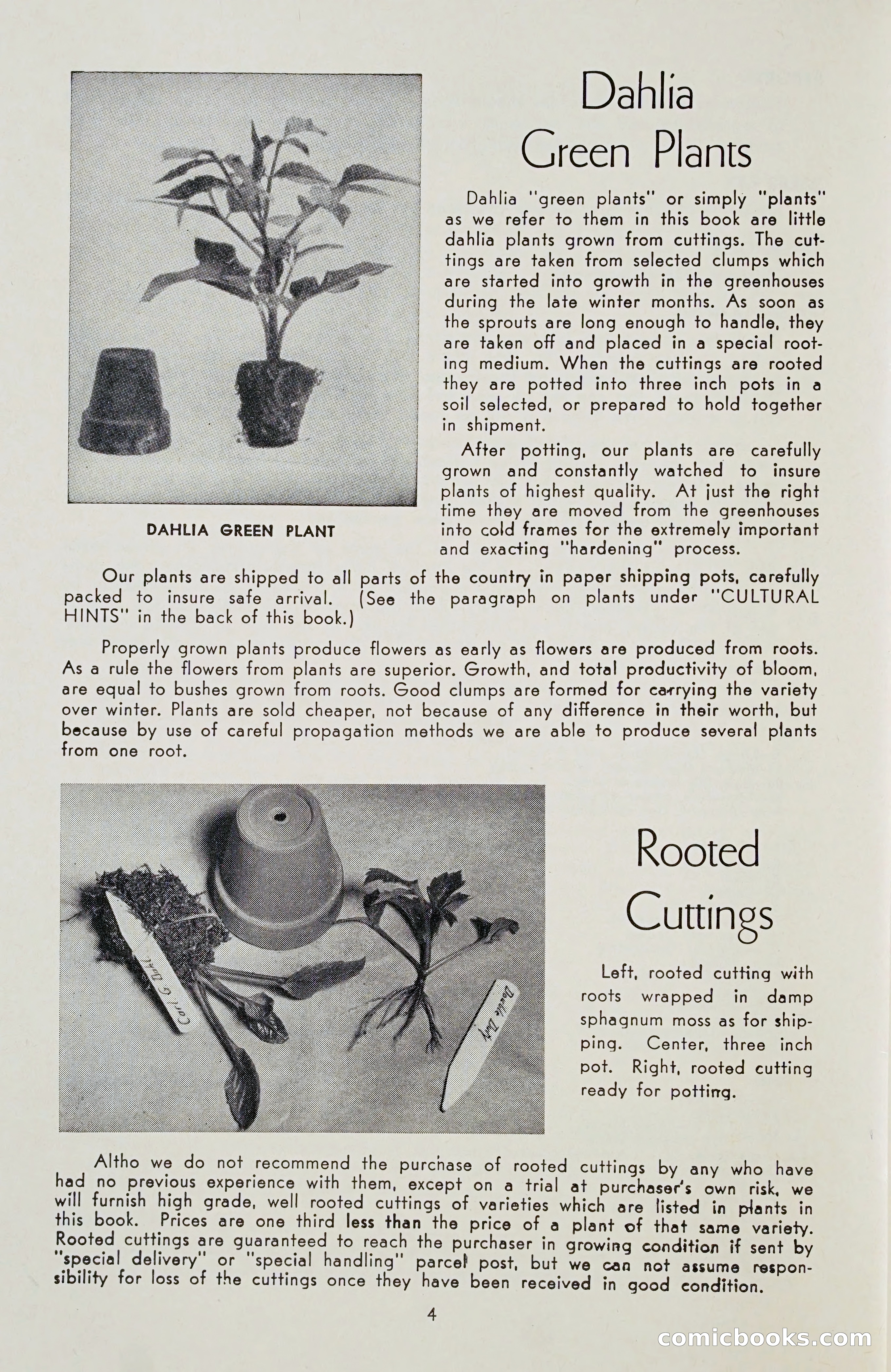 The Dahlia Blue Book for 1955 — page 7 of 79