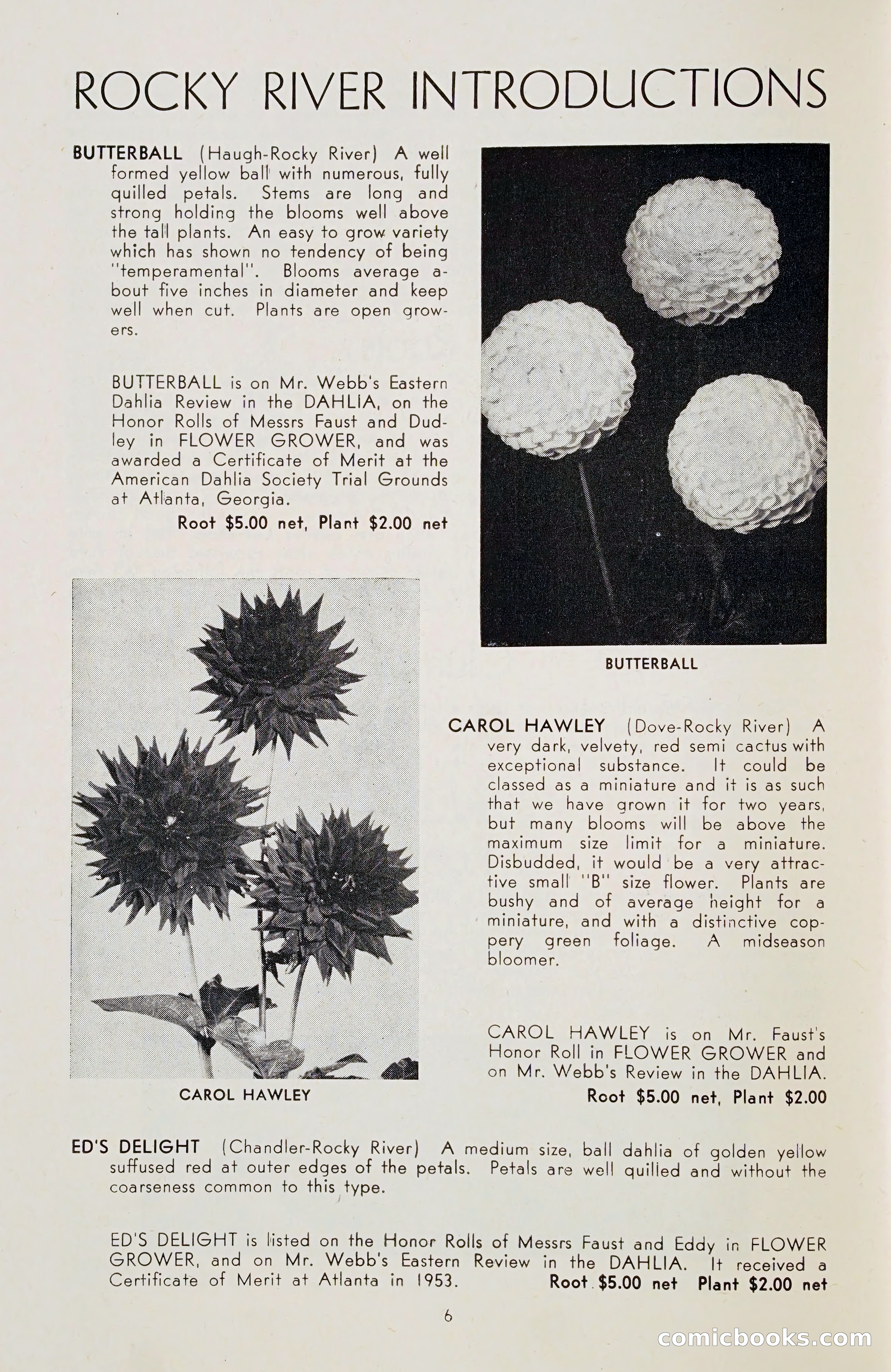 The Dahlia Blue Book for 1955 — page 9 of 79