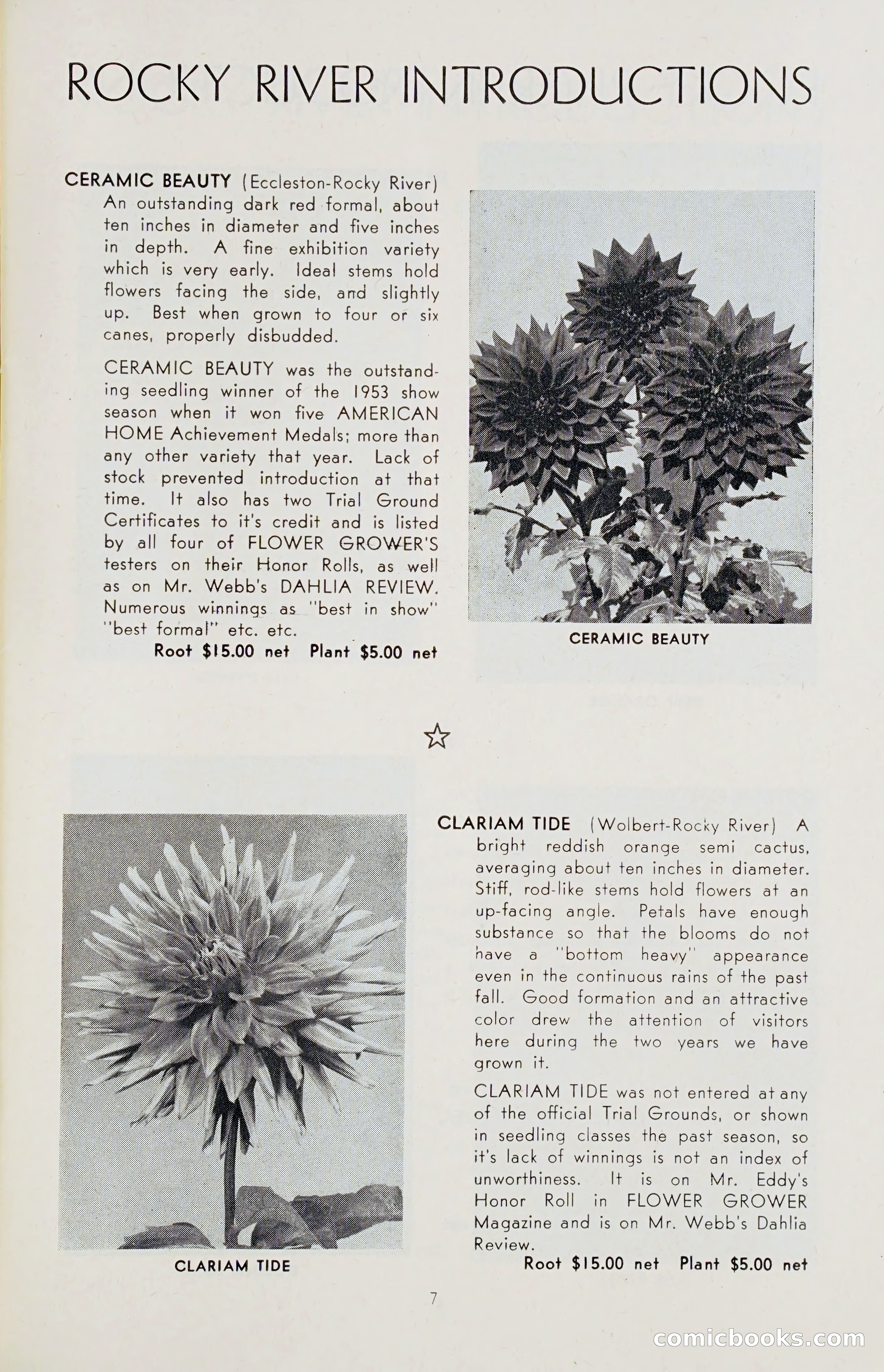 The Dahlia Blue Book for 1955 — page 10 of 79