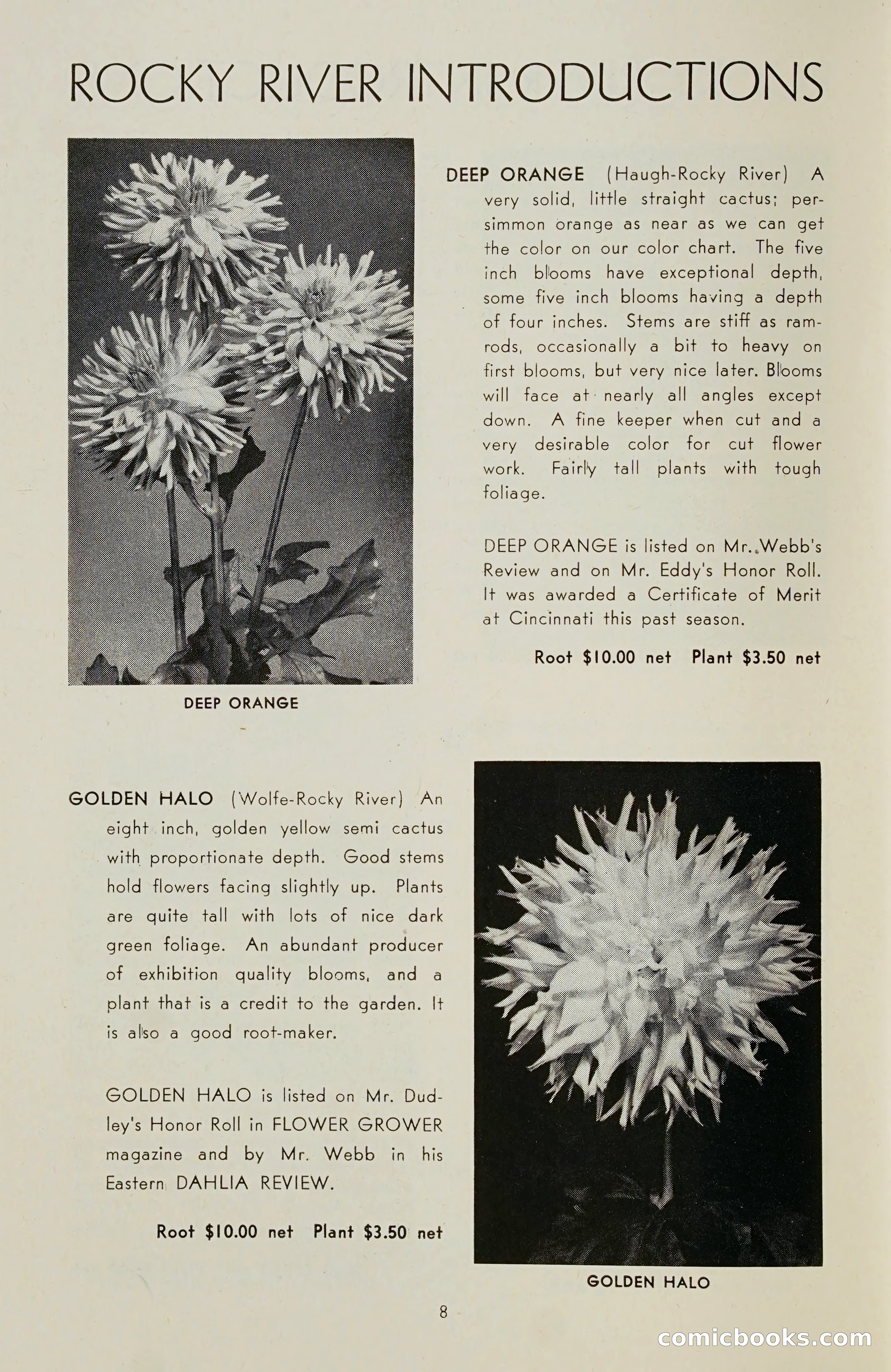 The Dahlia Blue Book for 1955 — page 11 of 79