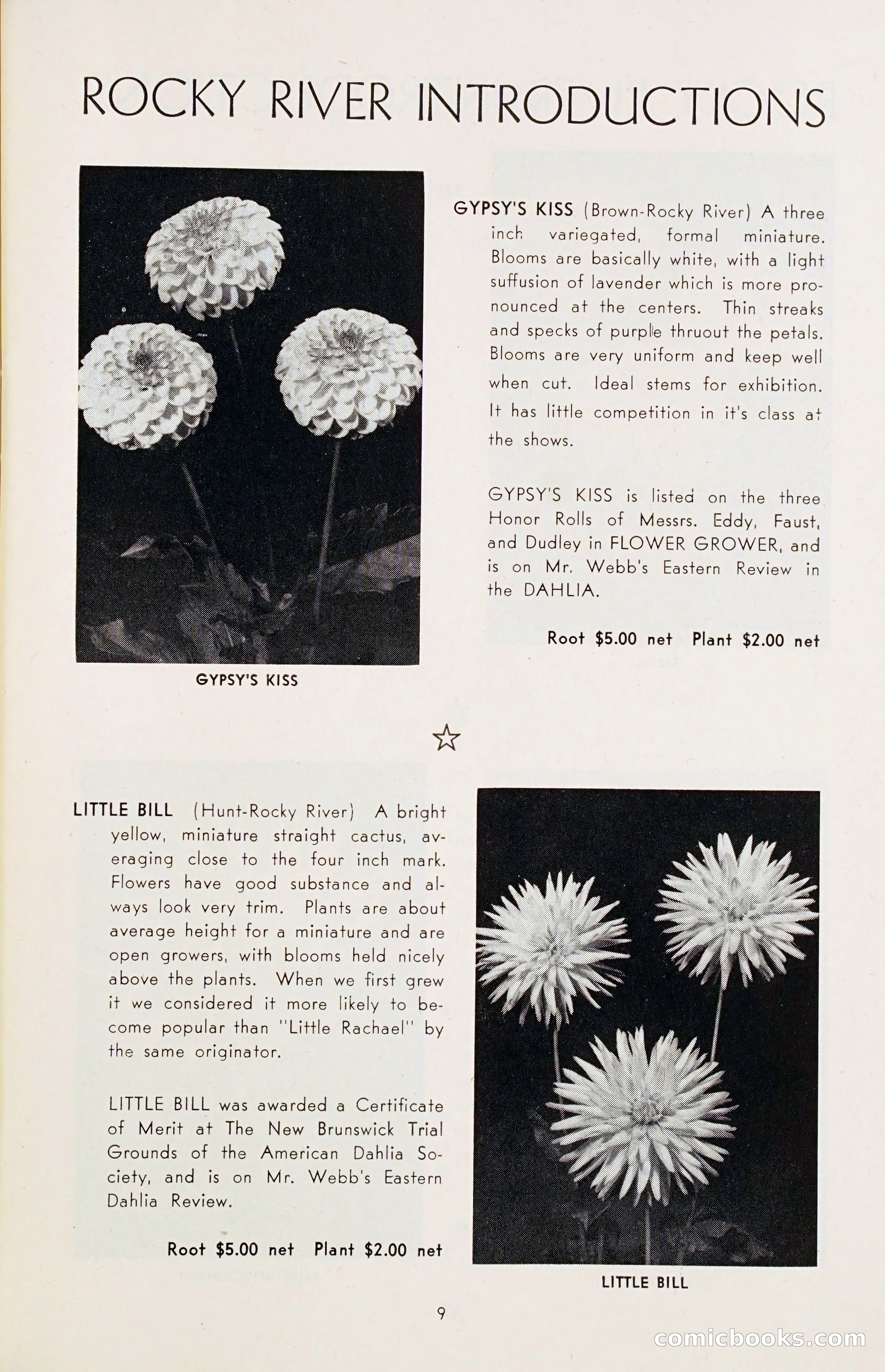 The Dahlia Blue Book for 1955 — page 12 of 79