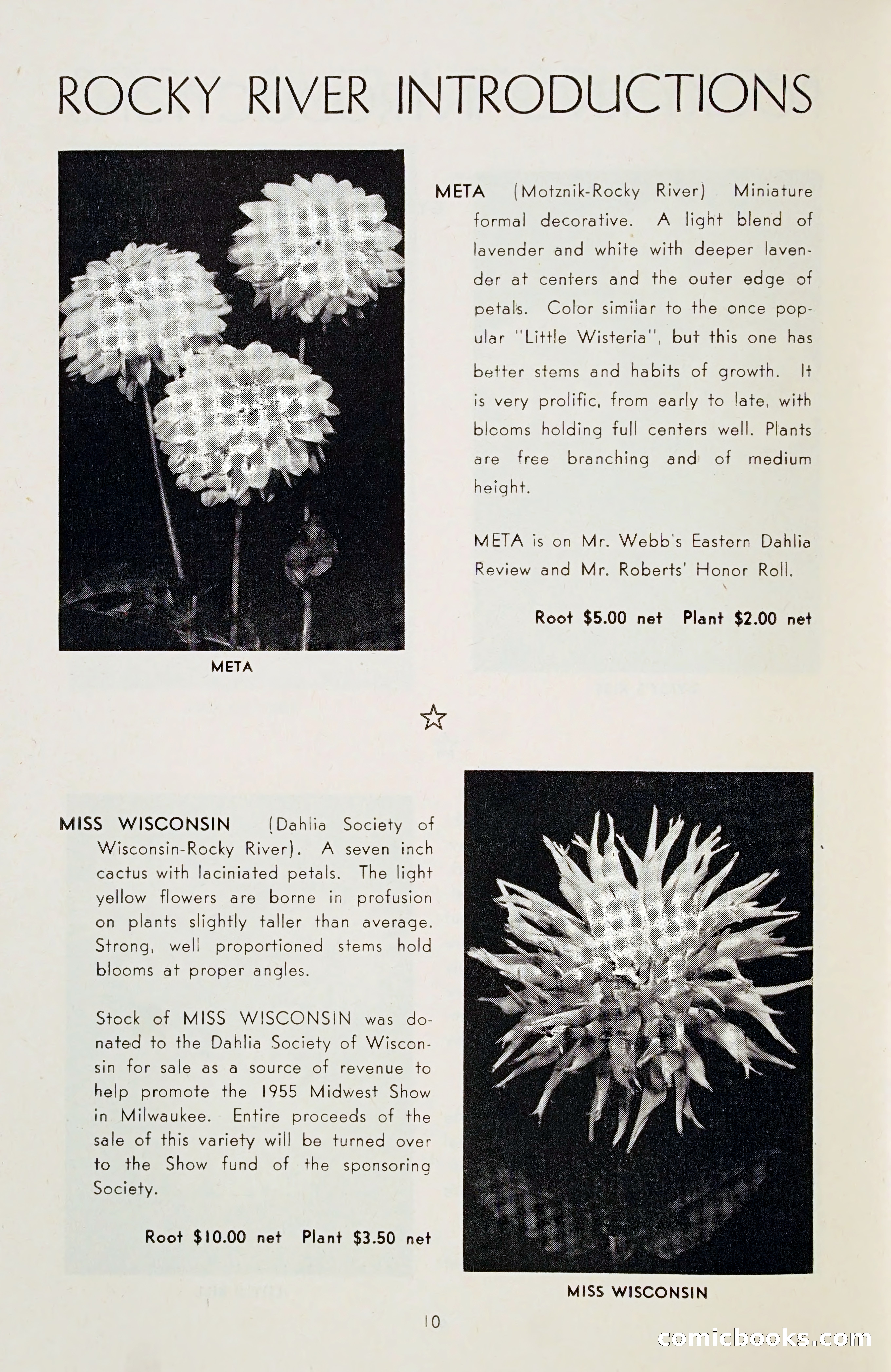 The Dahlia Blue Book for 1955 — page 13 of 79