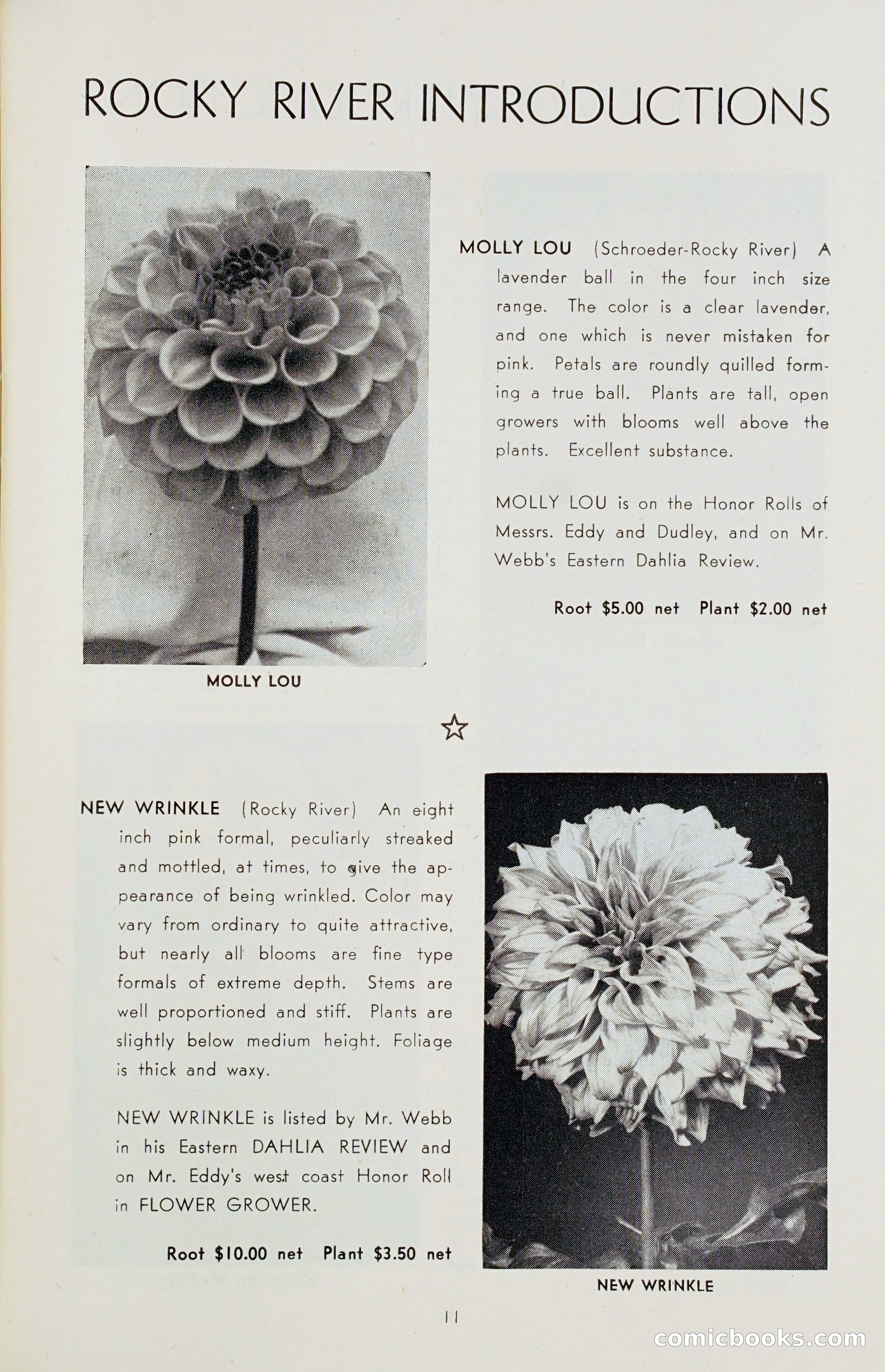 The Dahlia Blue Book for 1955 — page 14 of 79