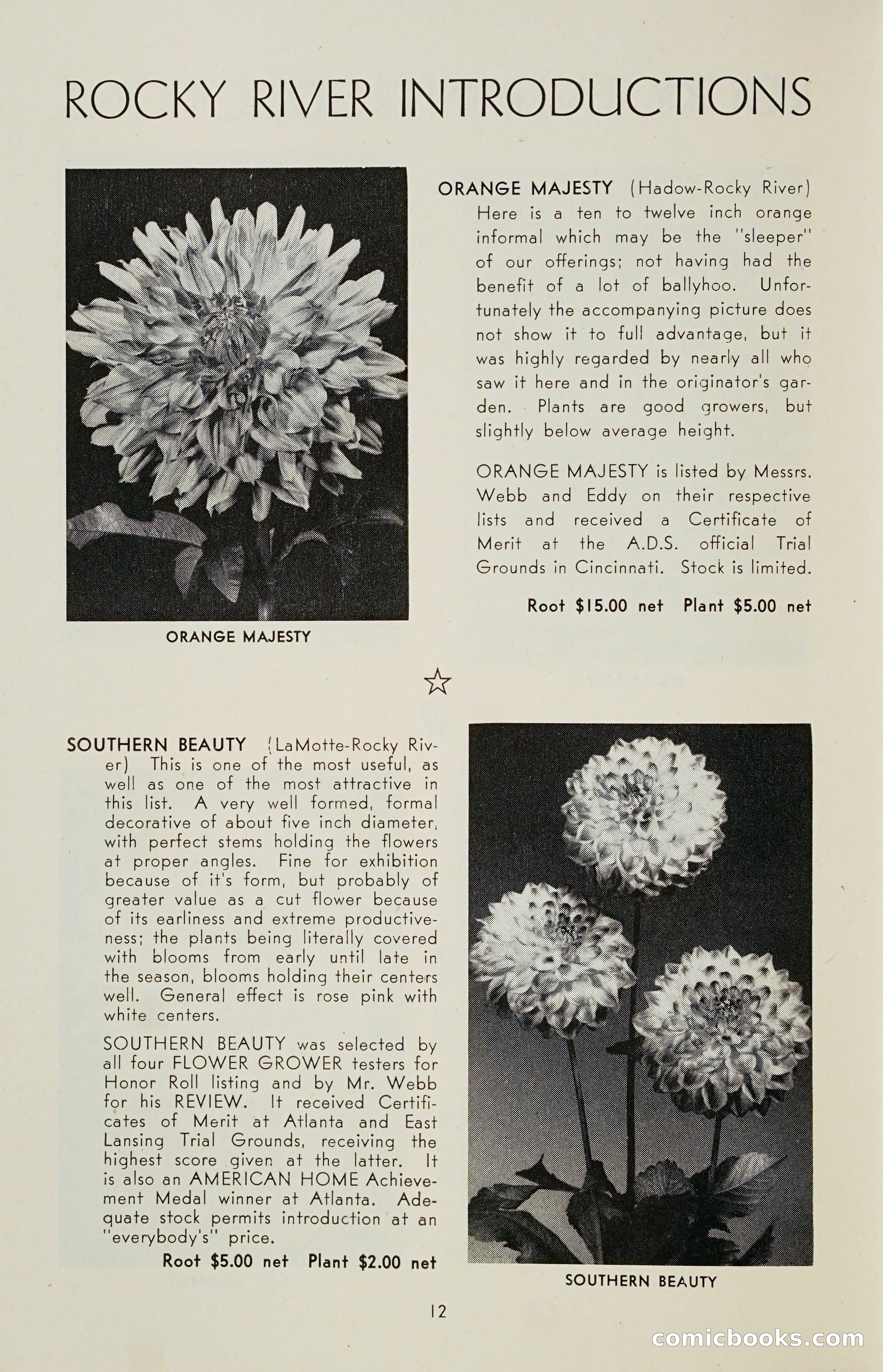 The Dahlia Blue Book for 1955 — page 15 of 79