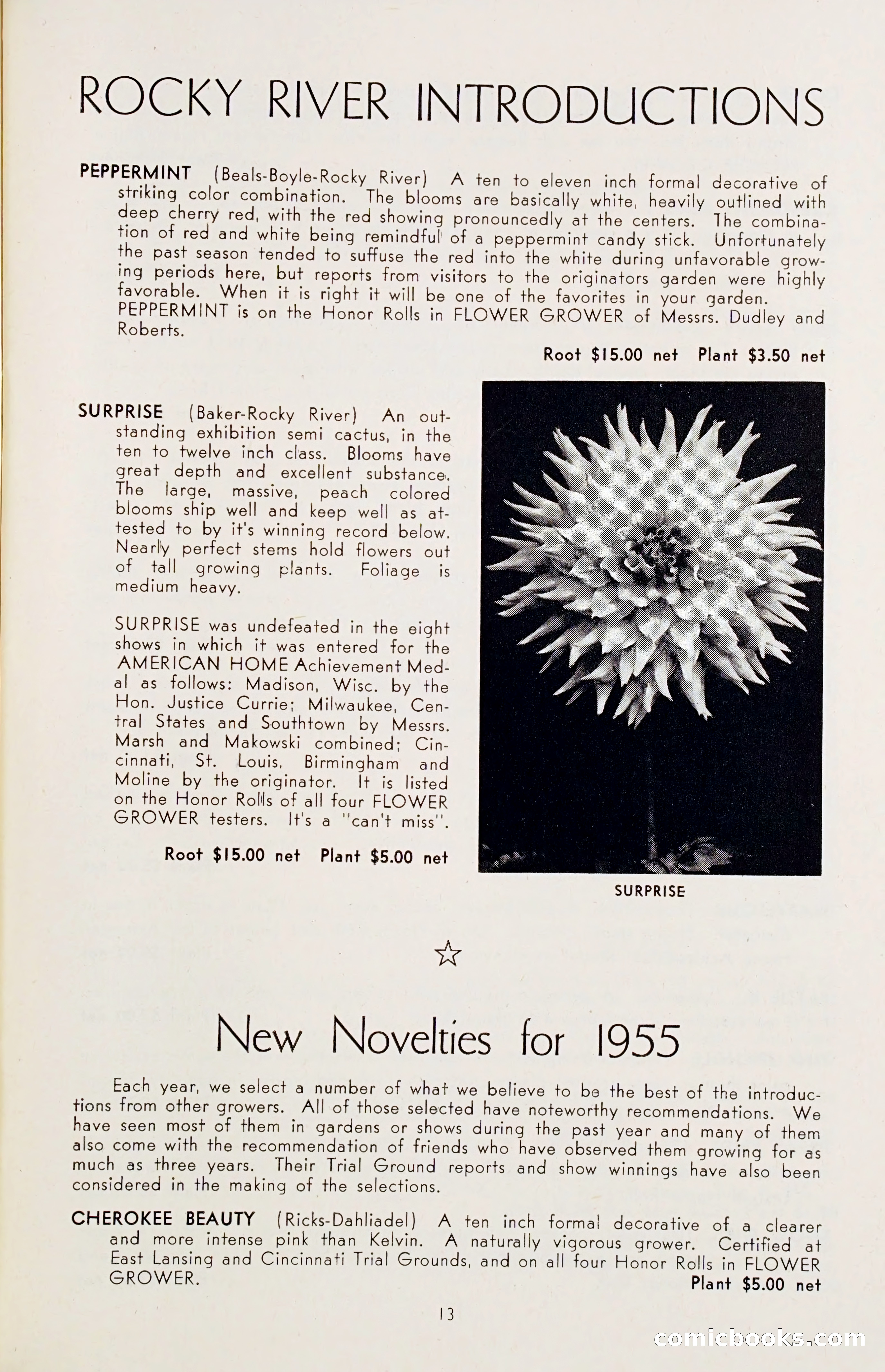 The Dahlia Blue Book for 1955 — page 16 of 79