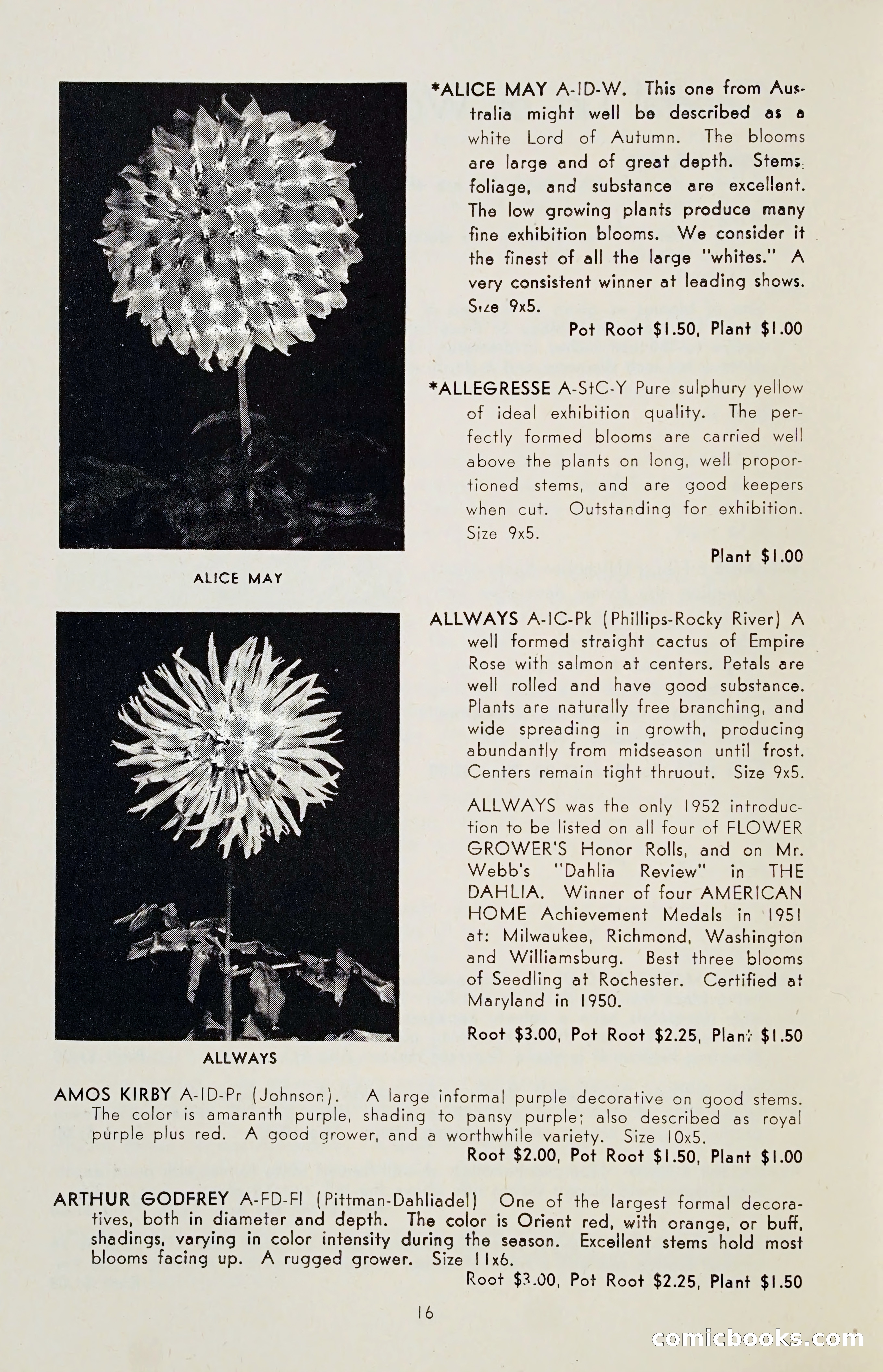 The Dahlia Blue Book for 1955 — page 19 of 79