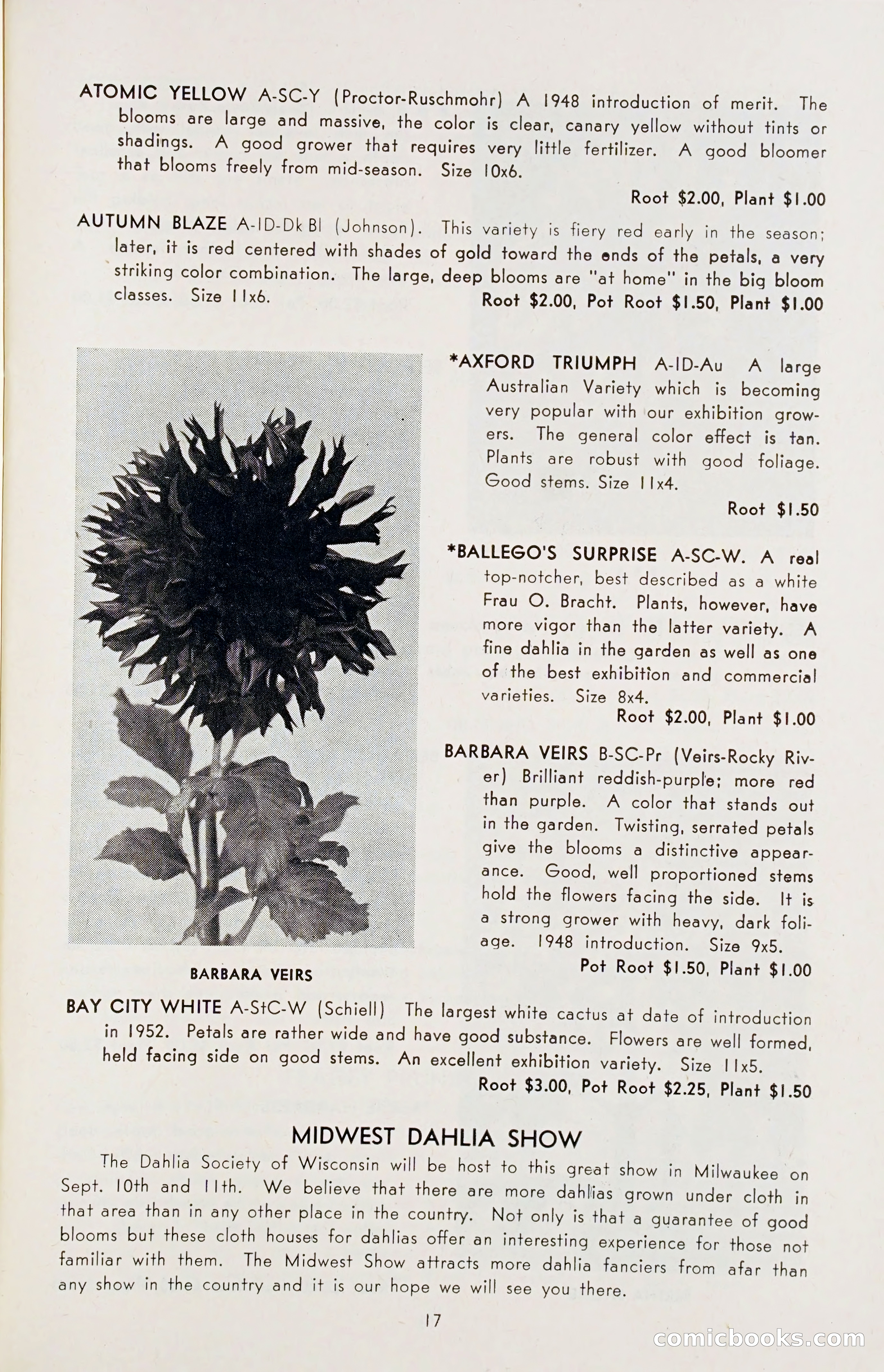 The Dahlia Blue Book for 1955 — page 20 of 79