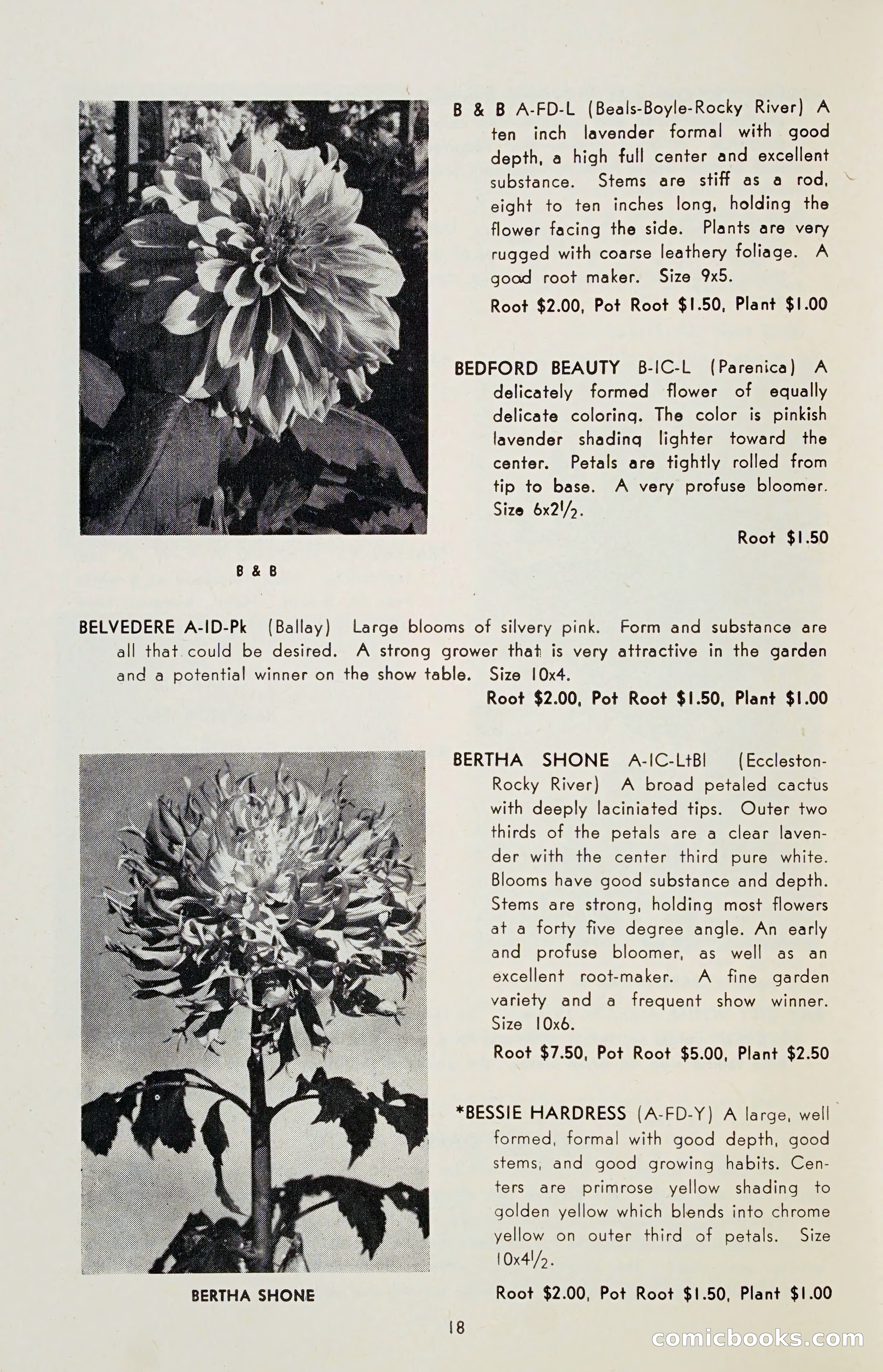 The Dahlia Blue Book for 1955 — page 21 of 79