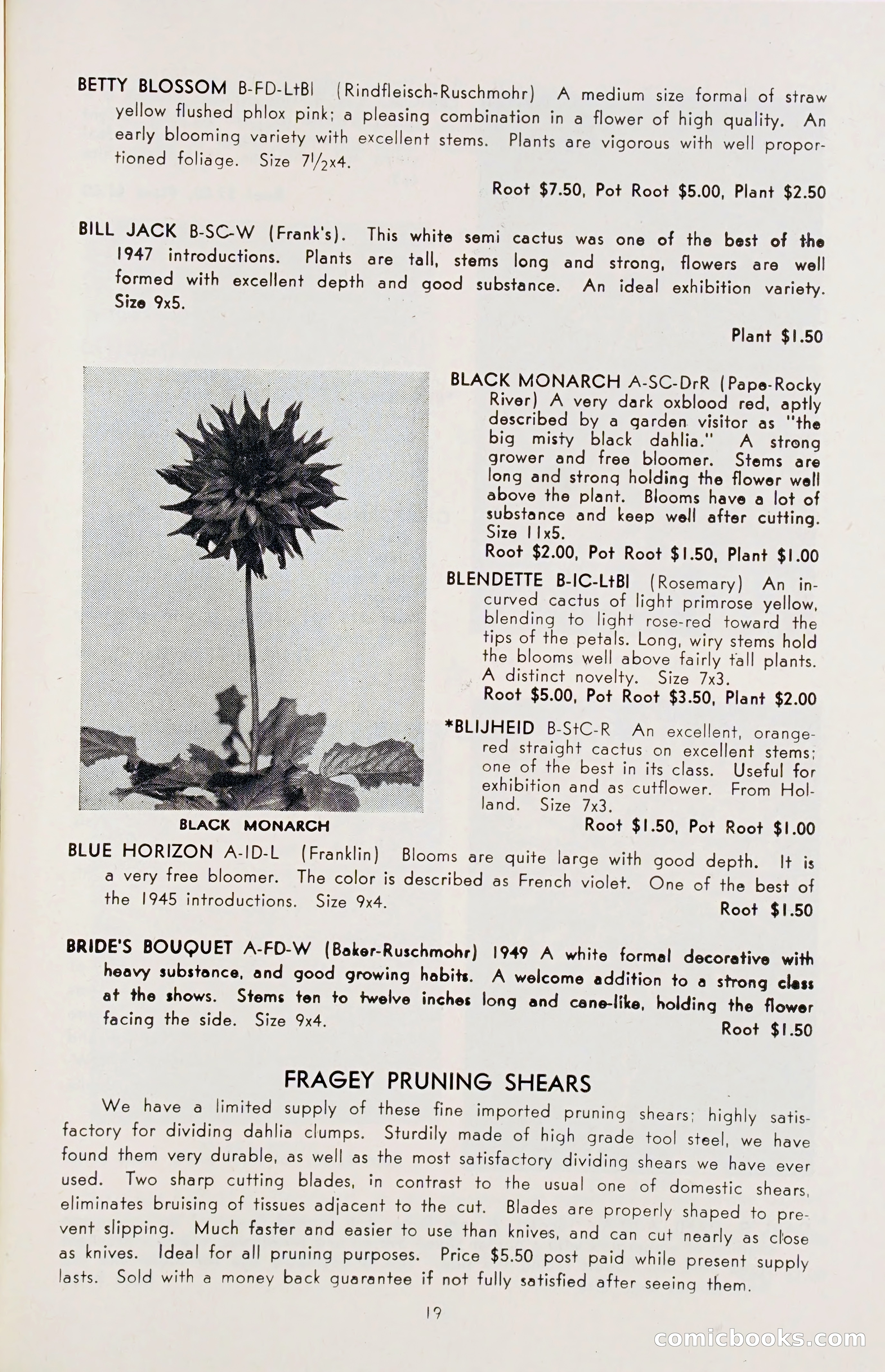 The Dahlia Blue Book for 1955 — page 22 of 79