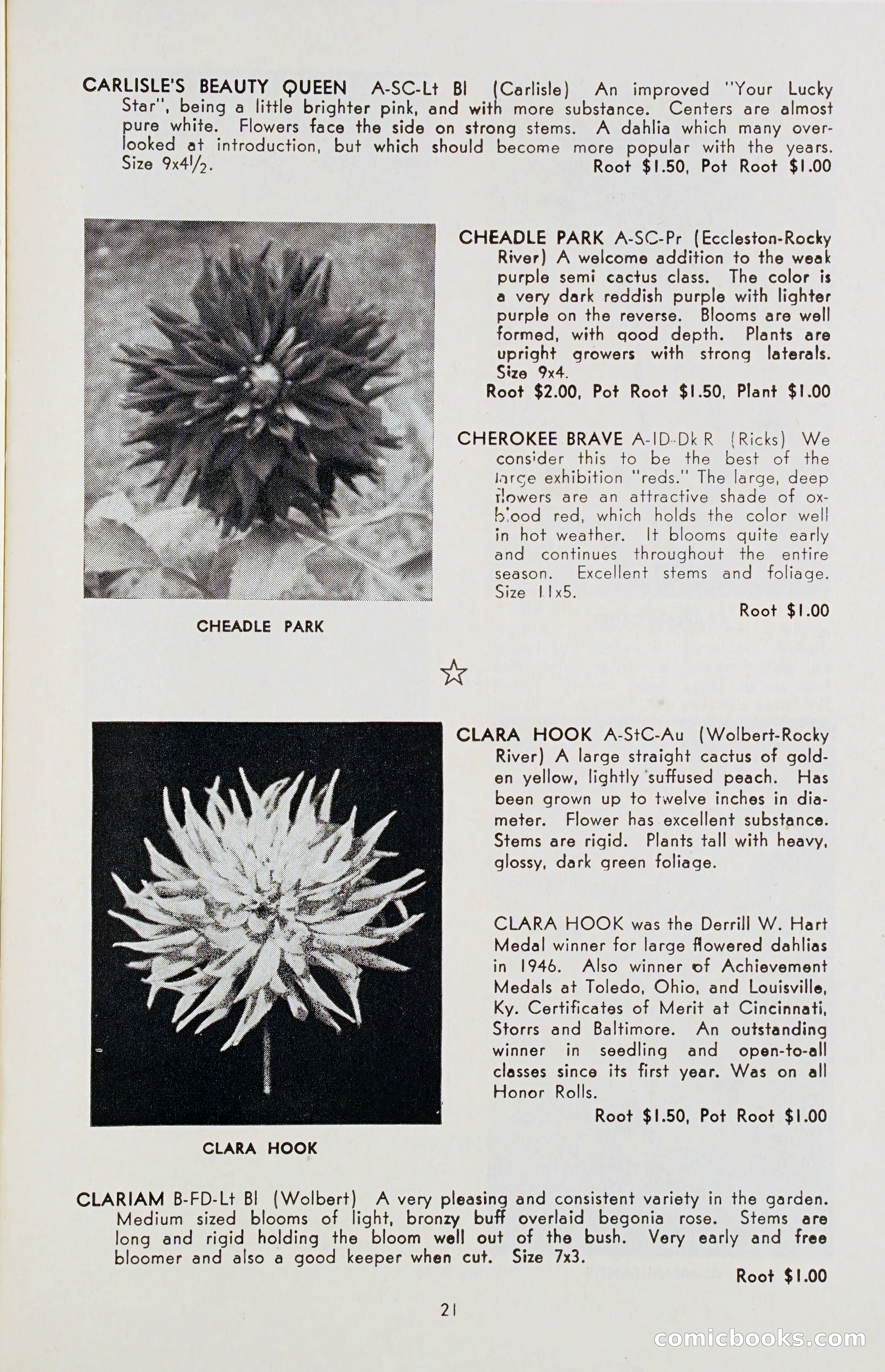 The Dahlia Blue Book for 1955 — page 24 of 79