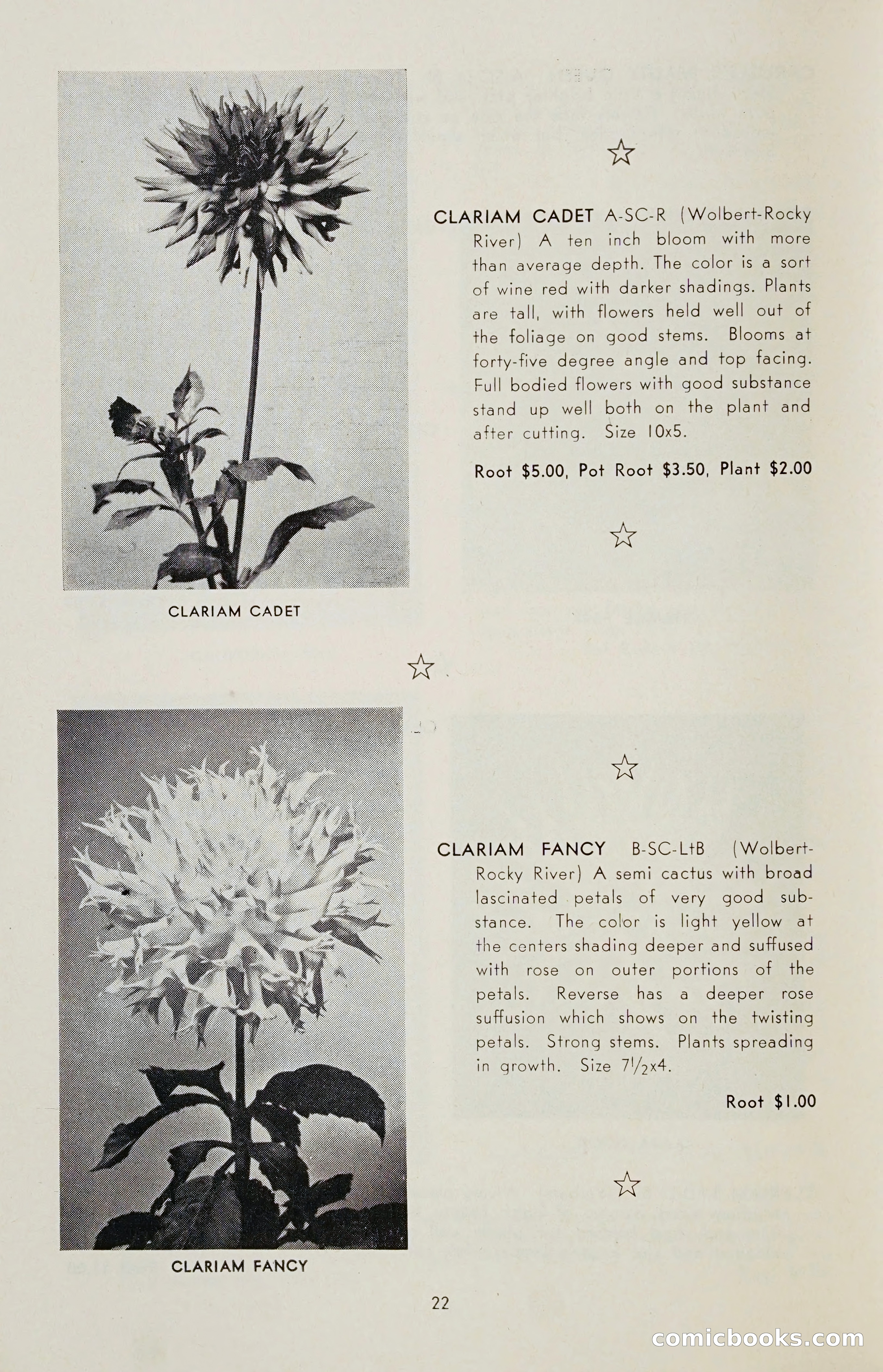 The Dahlia Blue Book for 1955 — page 25 of 79