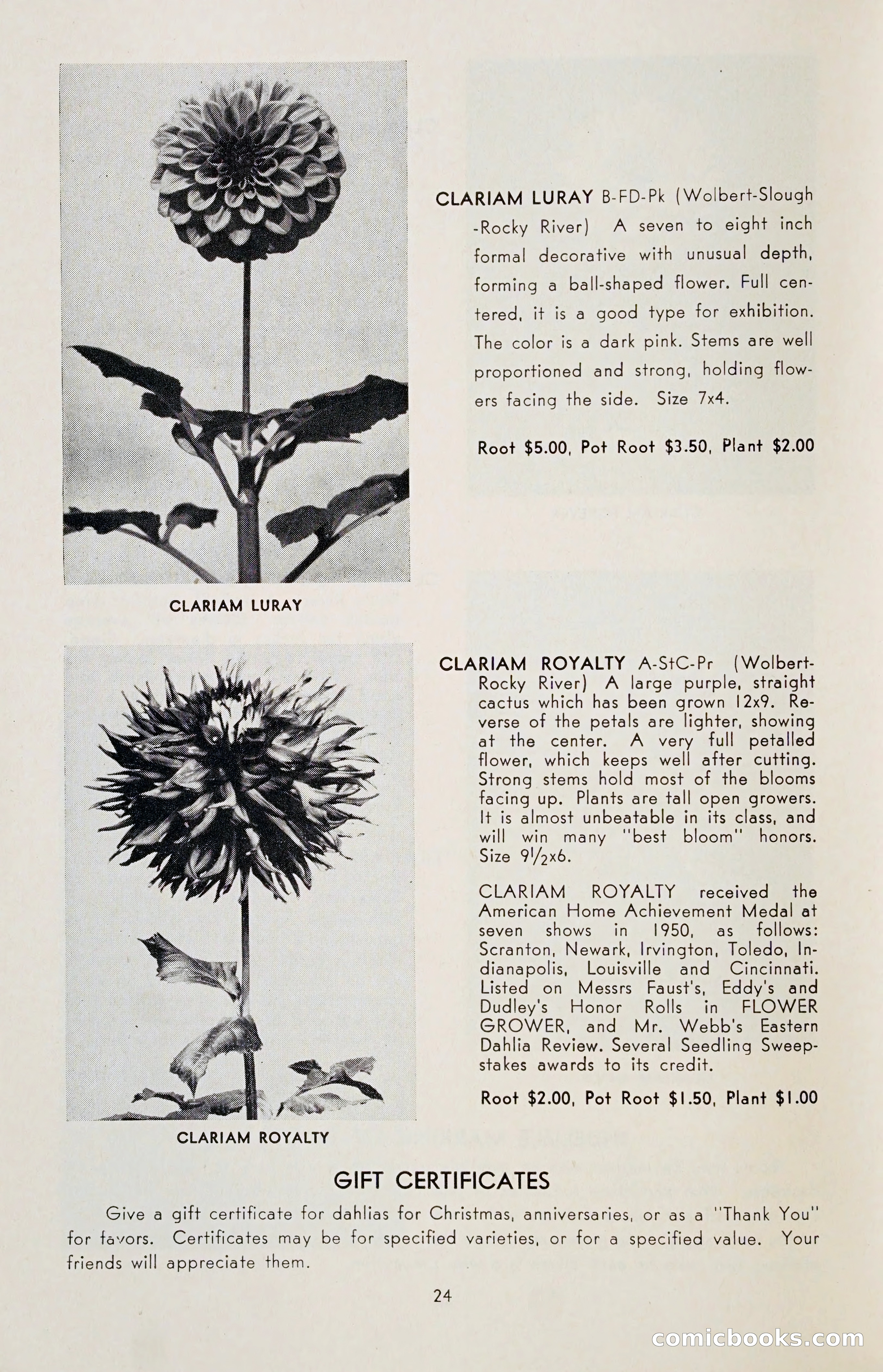 The Dahlia Blue Book for 1955 — page 27 of 79