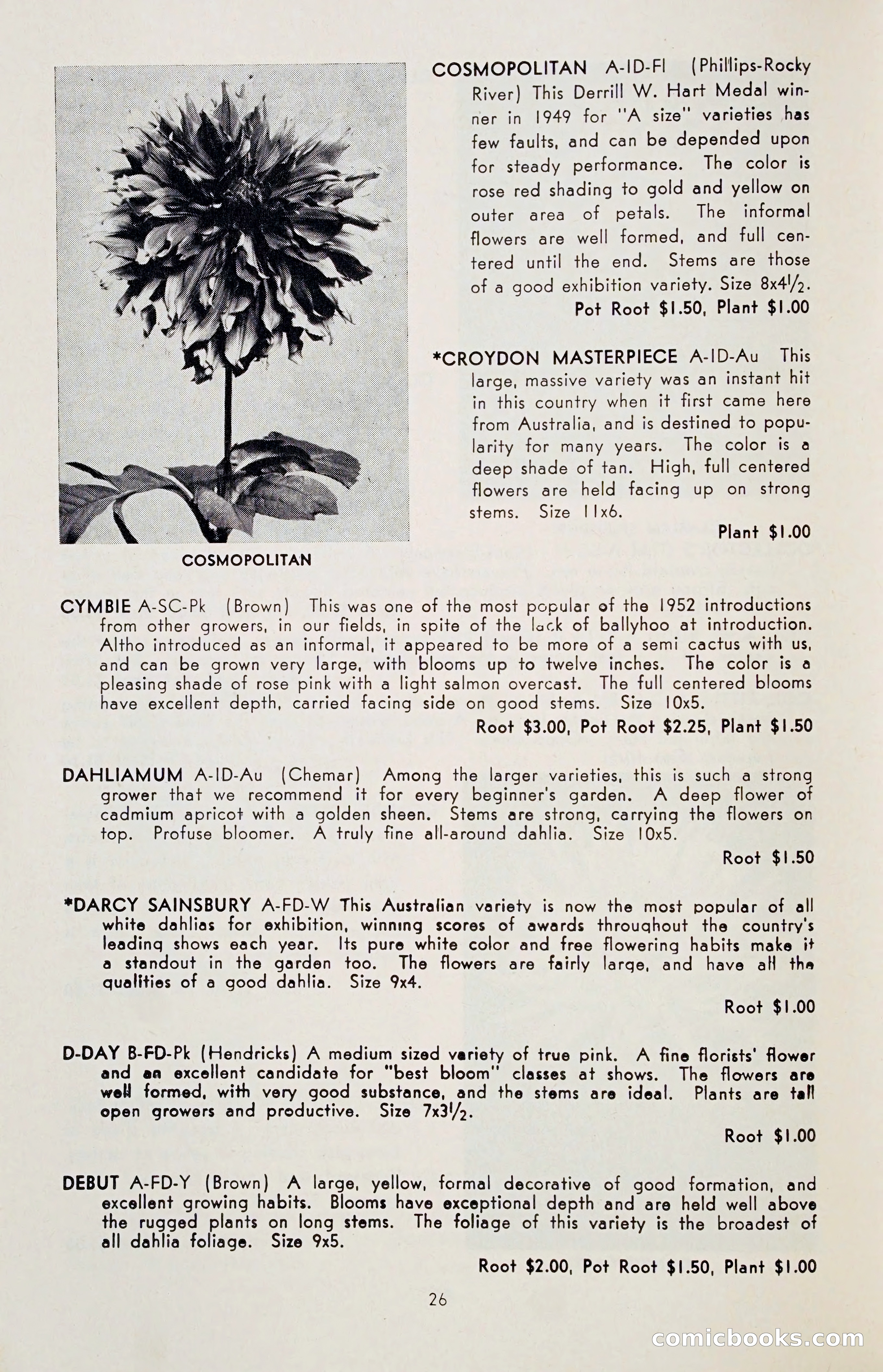 The Dahlia Blue Book for 1955 — page 29 of 79