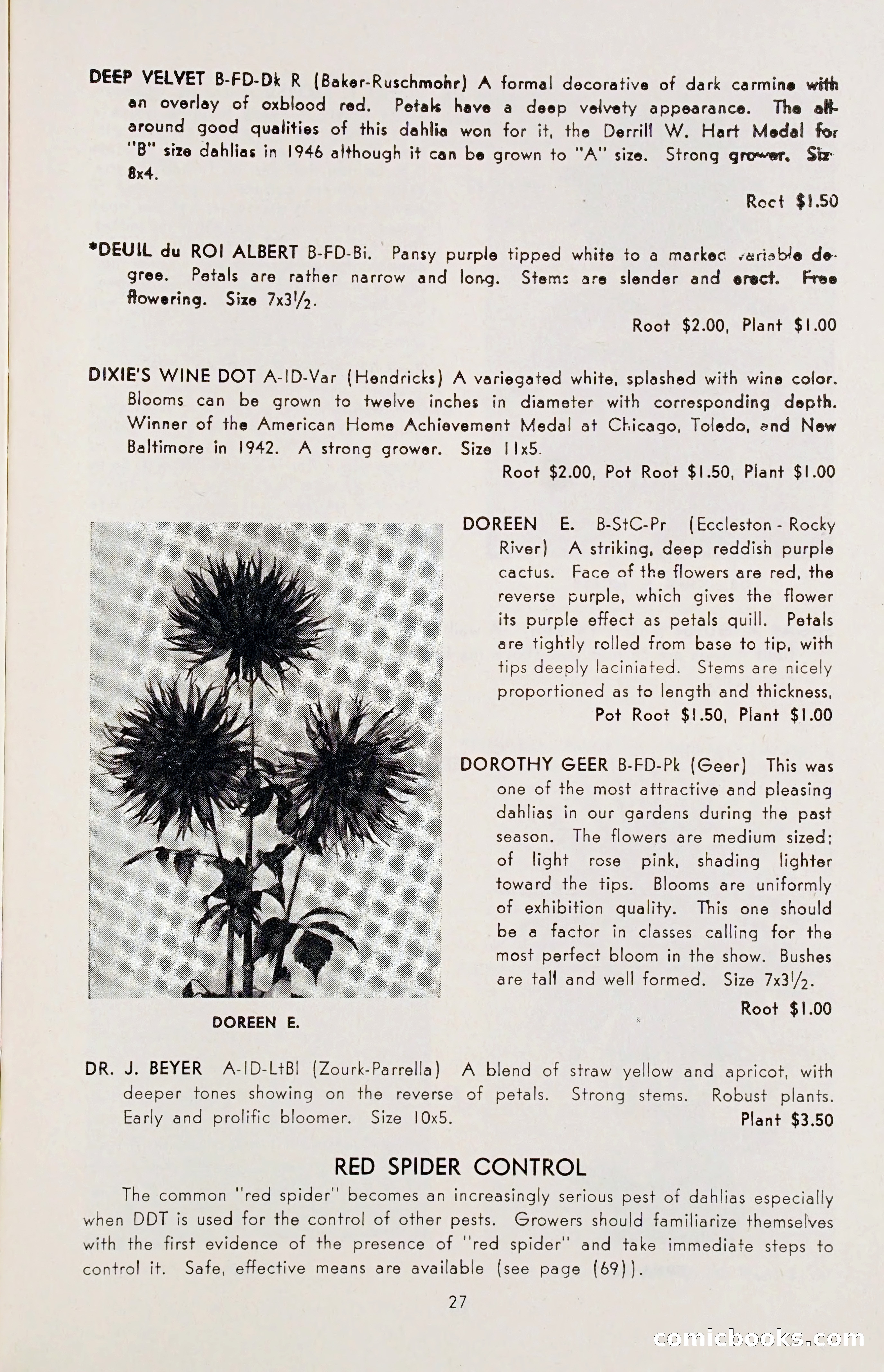 The Dahlia Blue Book for 1955 — page 30 of 79