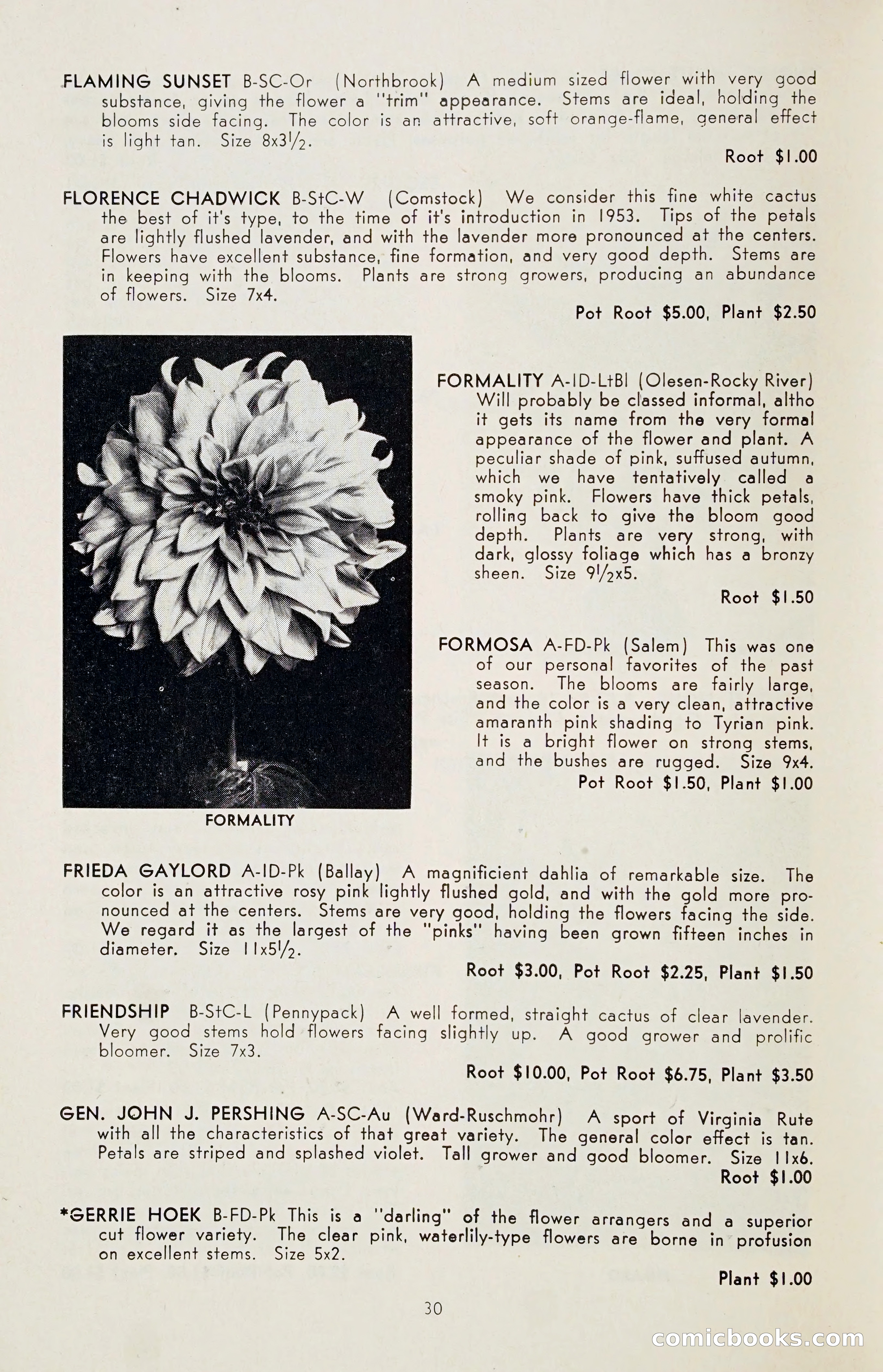 The Dahlia Blue Book for 1955 — page 33 of 79