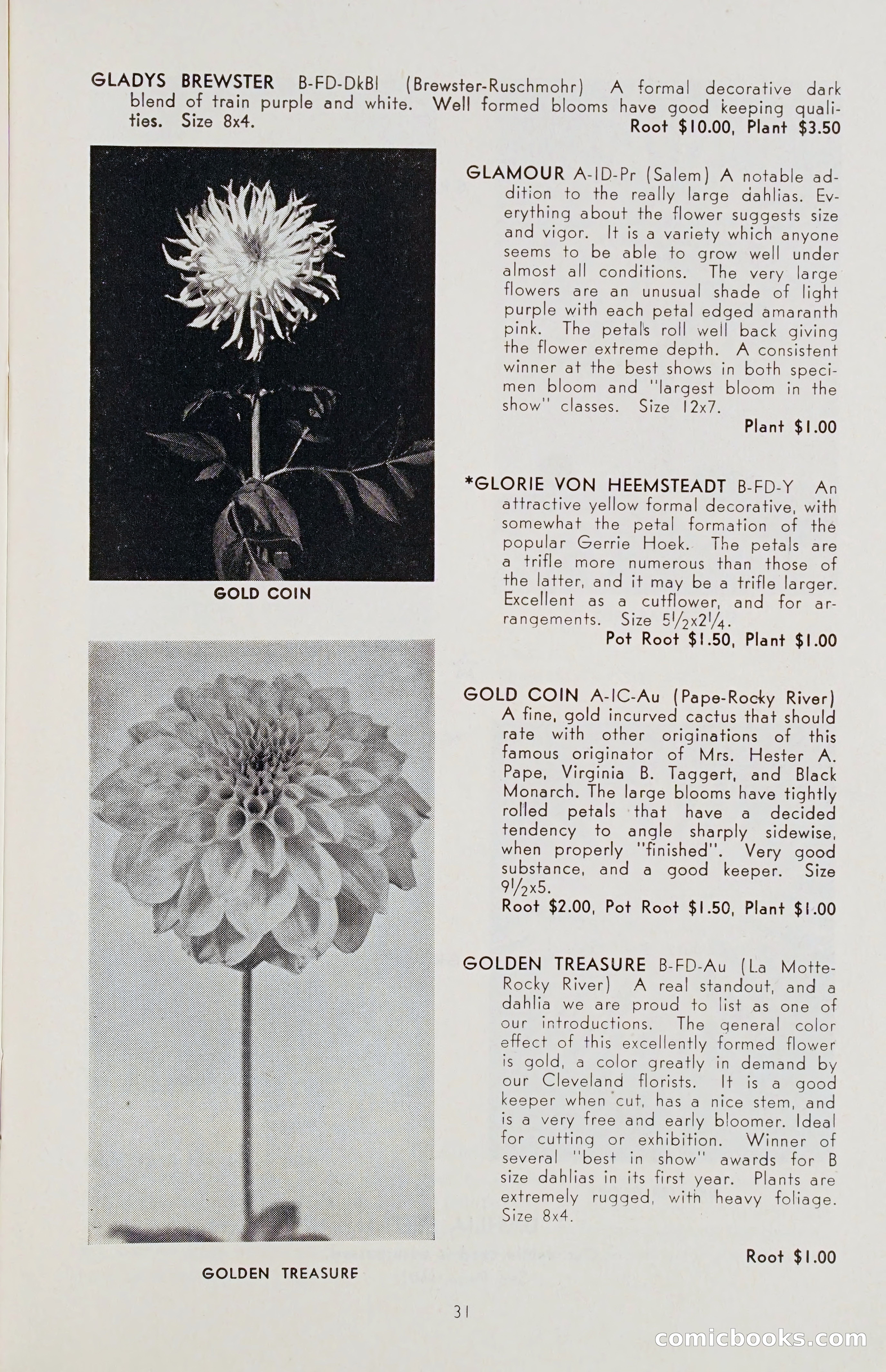 The Dahlia Blue Book for 1955 — page 34 of 79