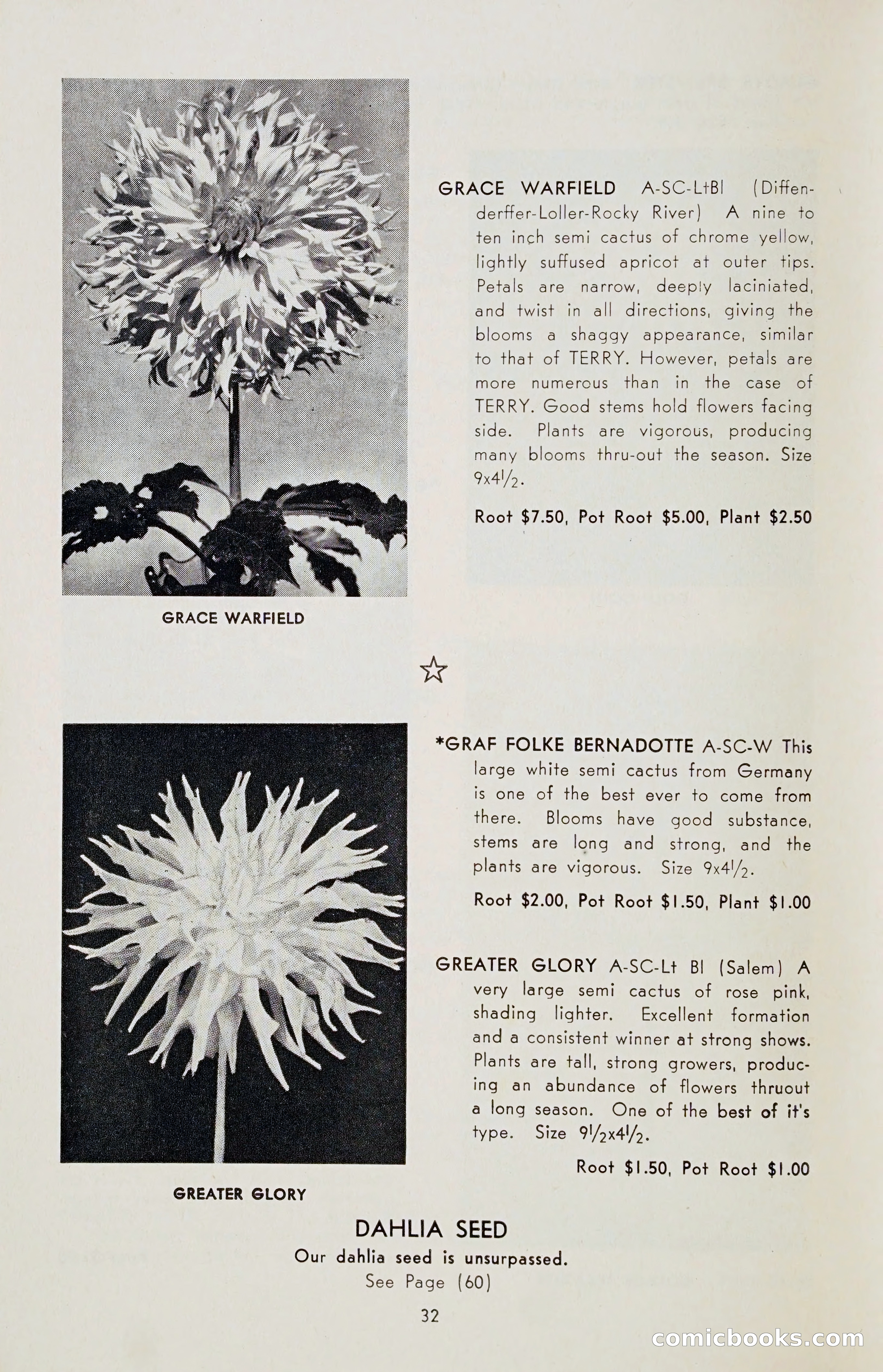 The Dahlia Blue Book for 1955 — page 35 of 79
