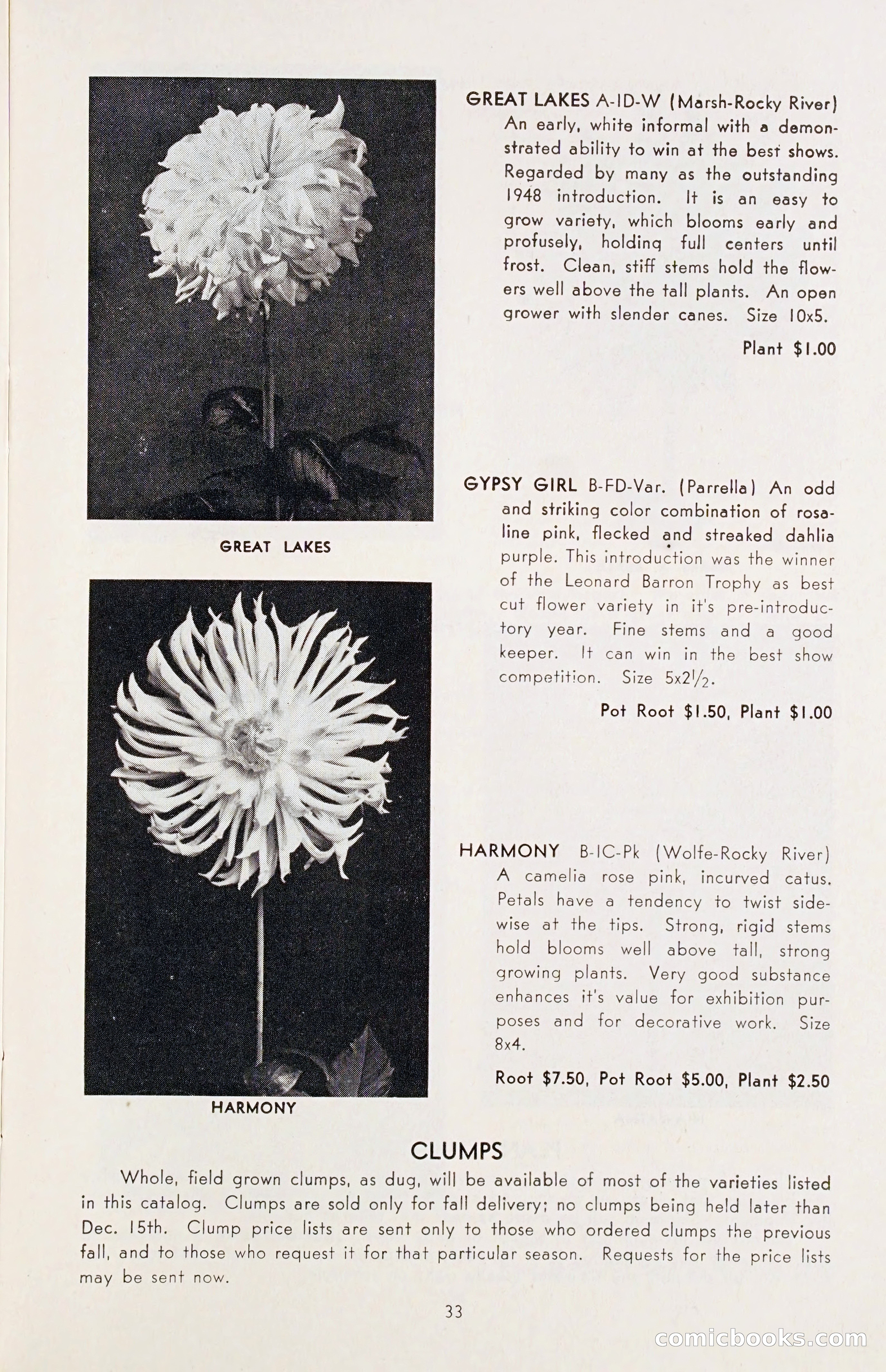The Dahlia Blue Book for 1955 — page 36 of 79