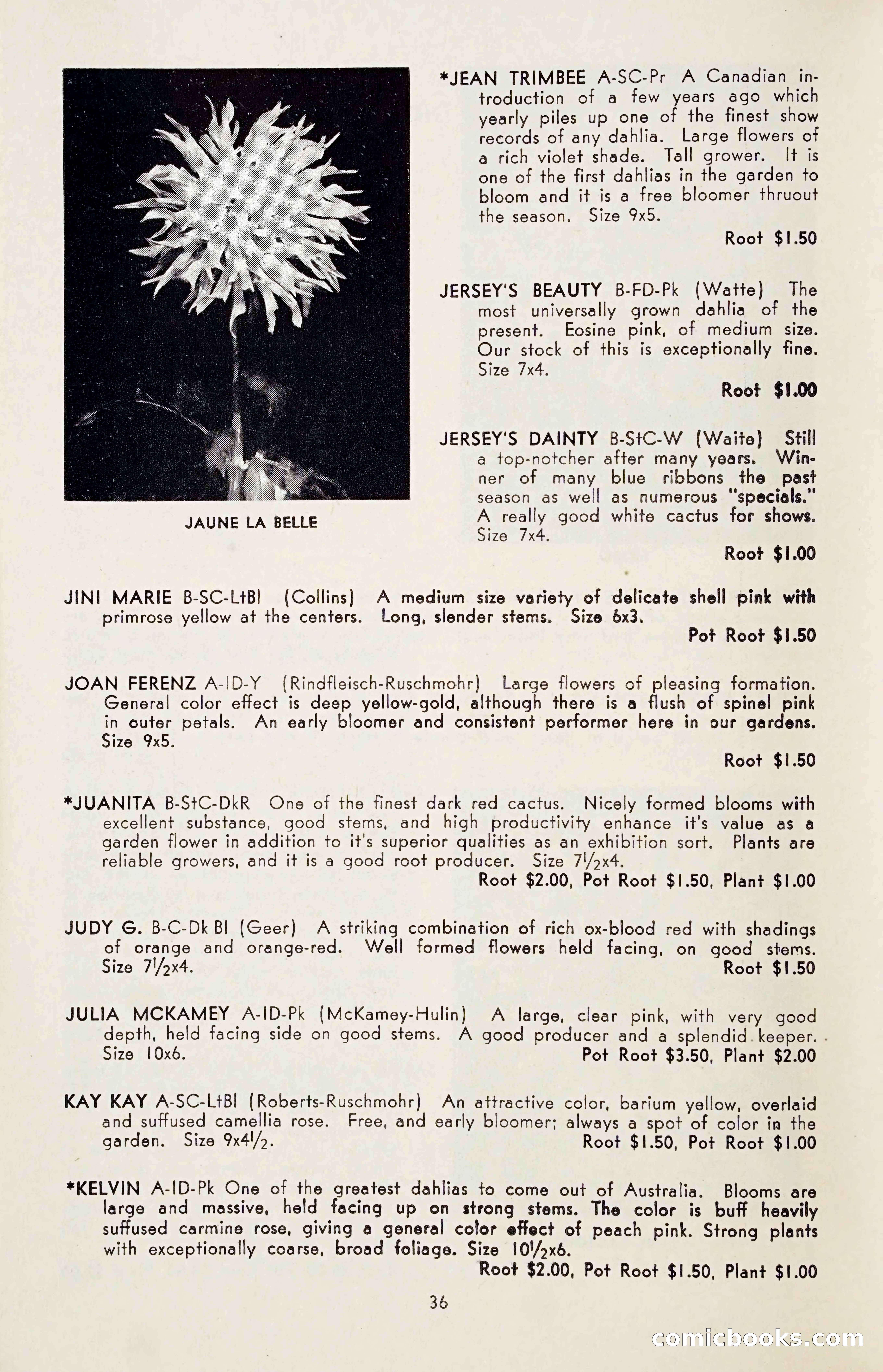 The Dahlia Blue Book for 1955 — page 39 of 79