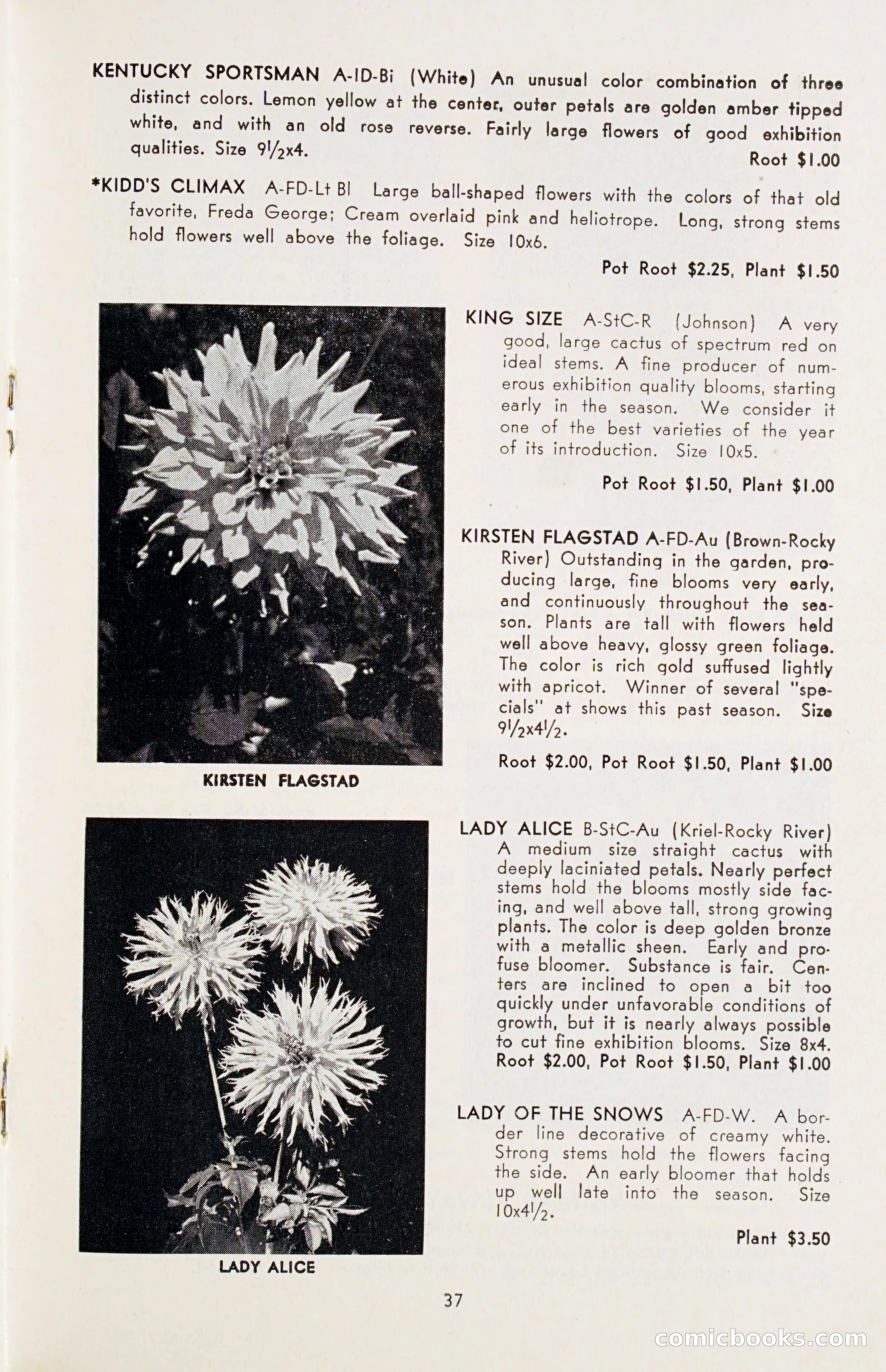 The Dahlia Blue Book for 1955 — page 40 of 79