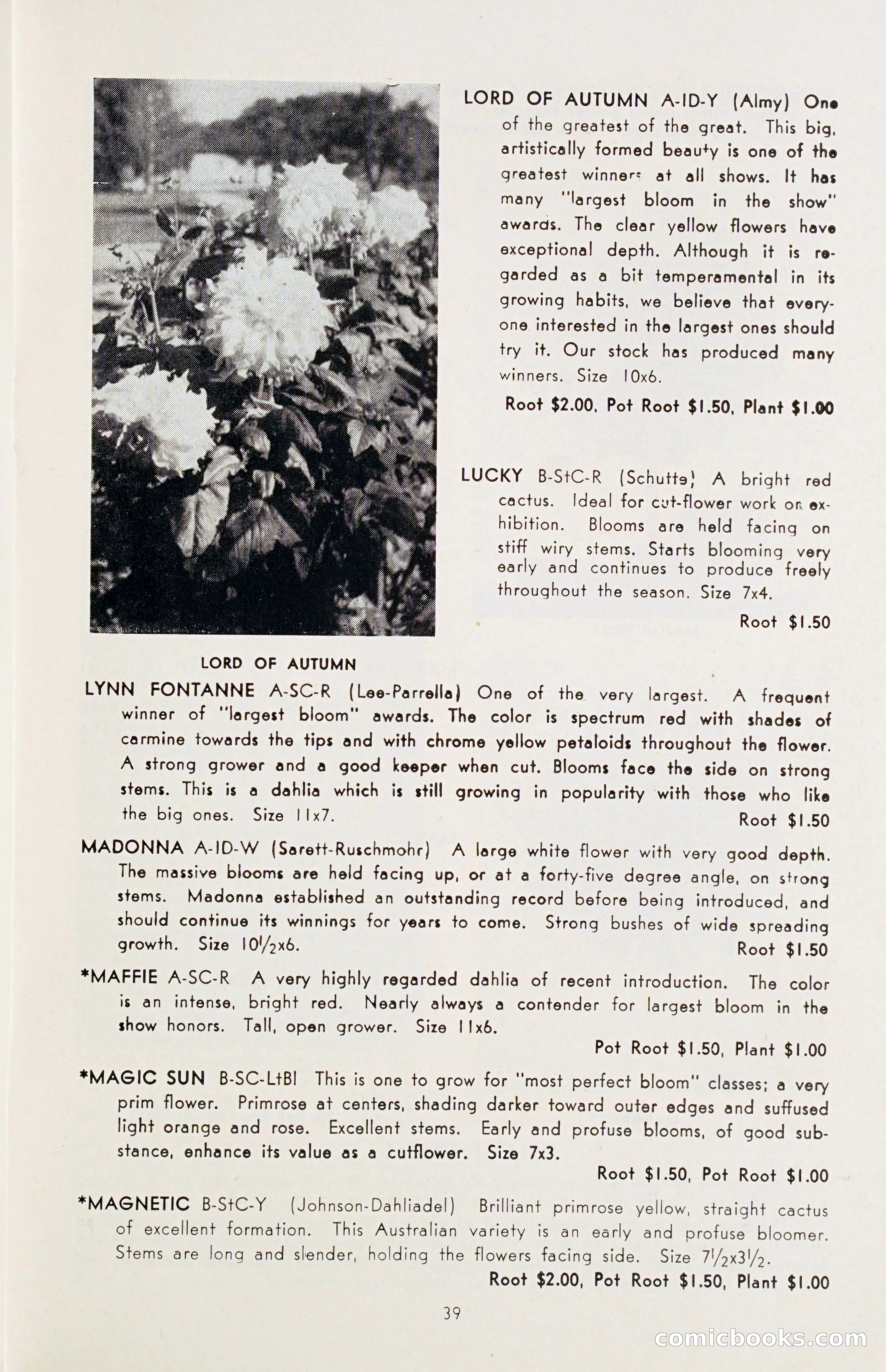 The Dahlia Blue Book for 1955 — page 42 of 79