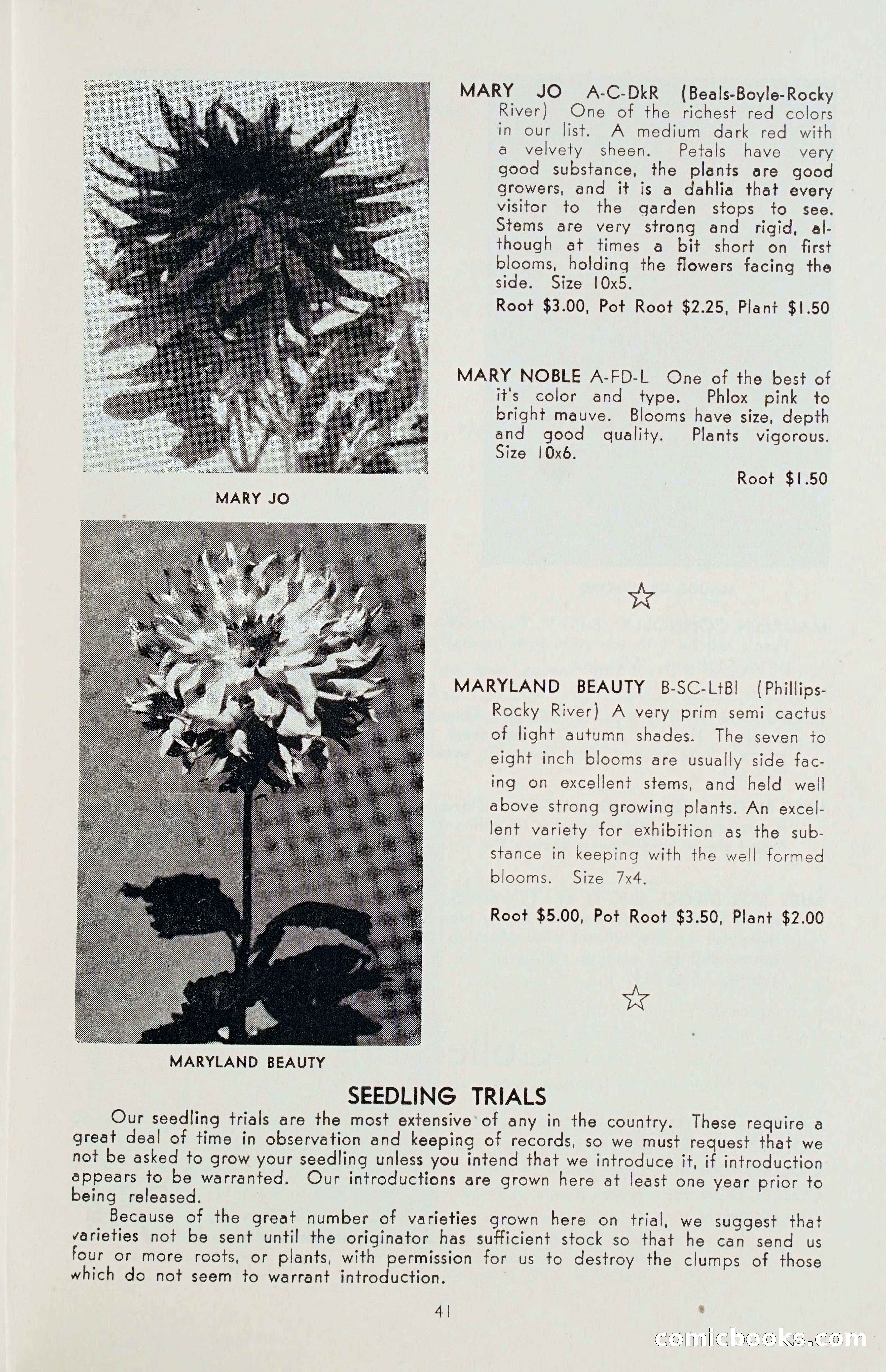 The Dahlia Blue Book for 1955 — page 44 of 79