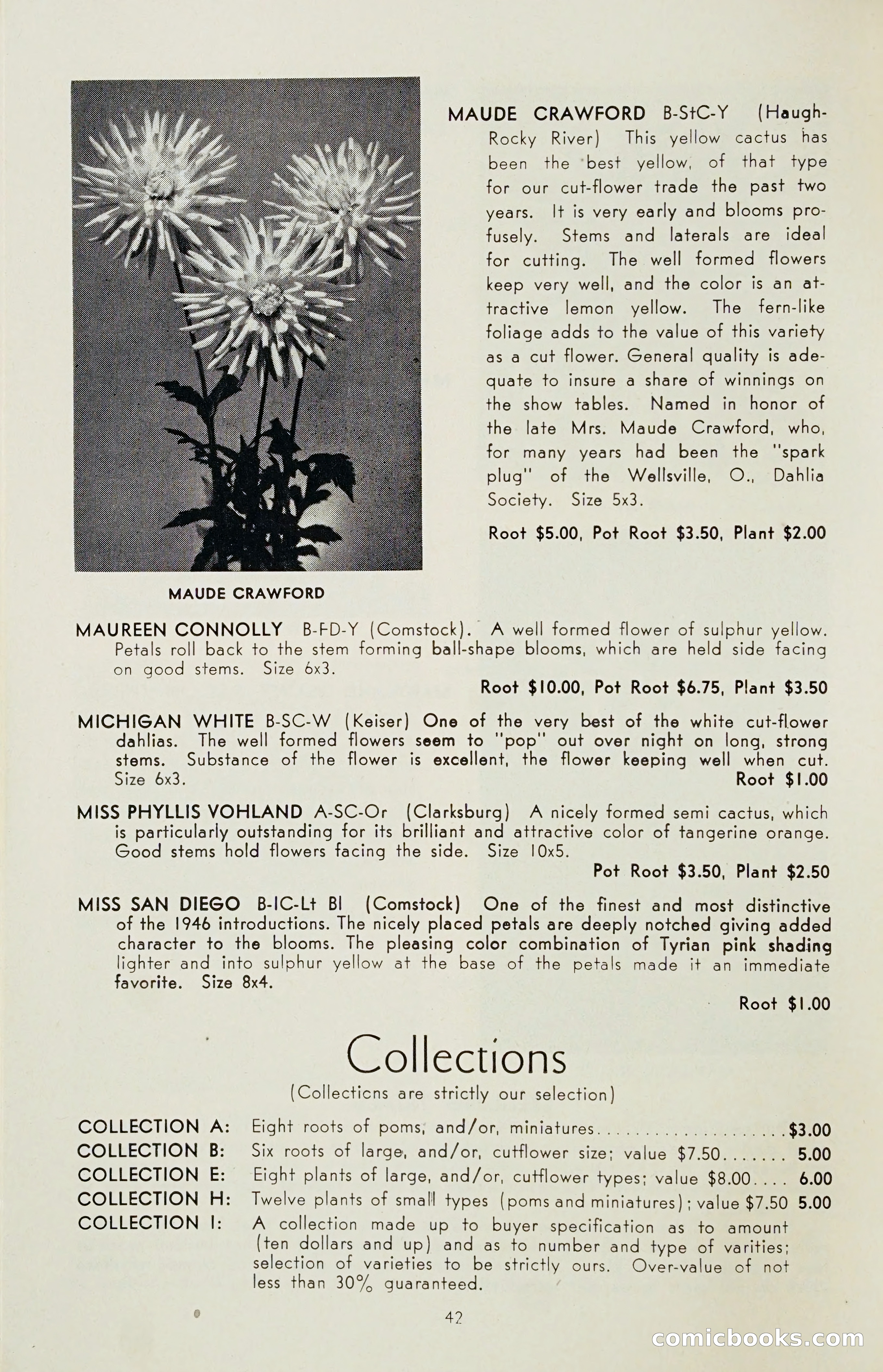 The Dahlia Blue Book for 1955 — page 45 of 79