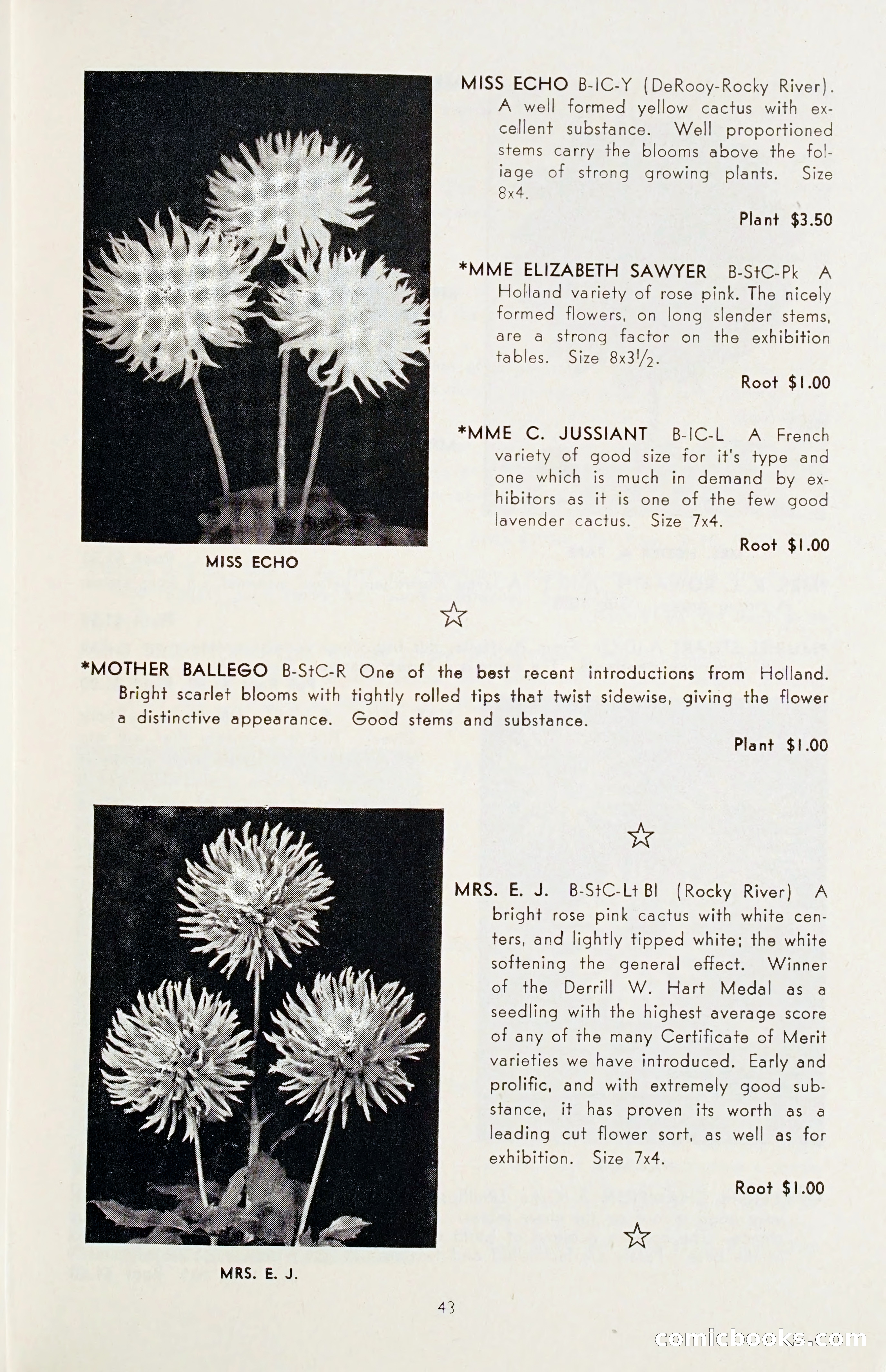 The Dahlia Blue Book for 1955 — page 46 of 79