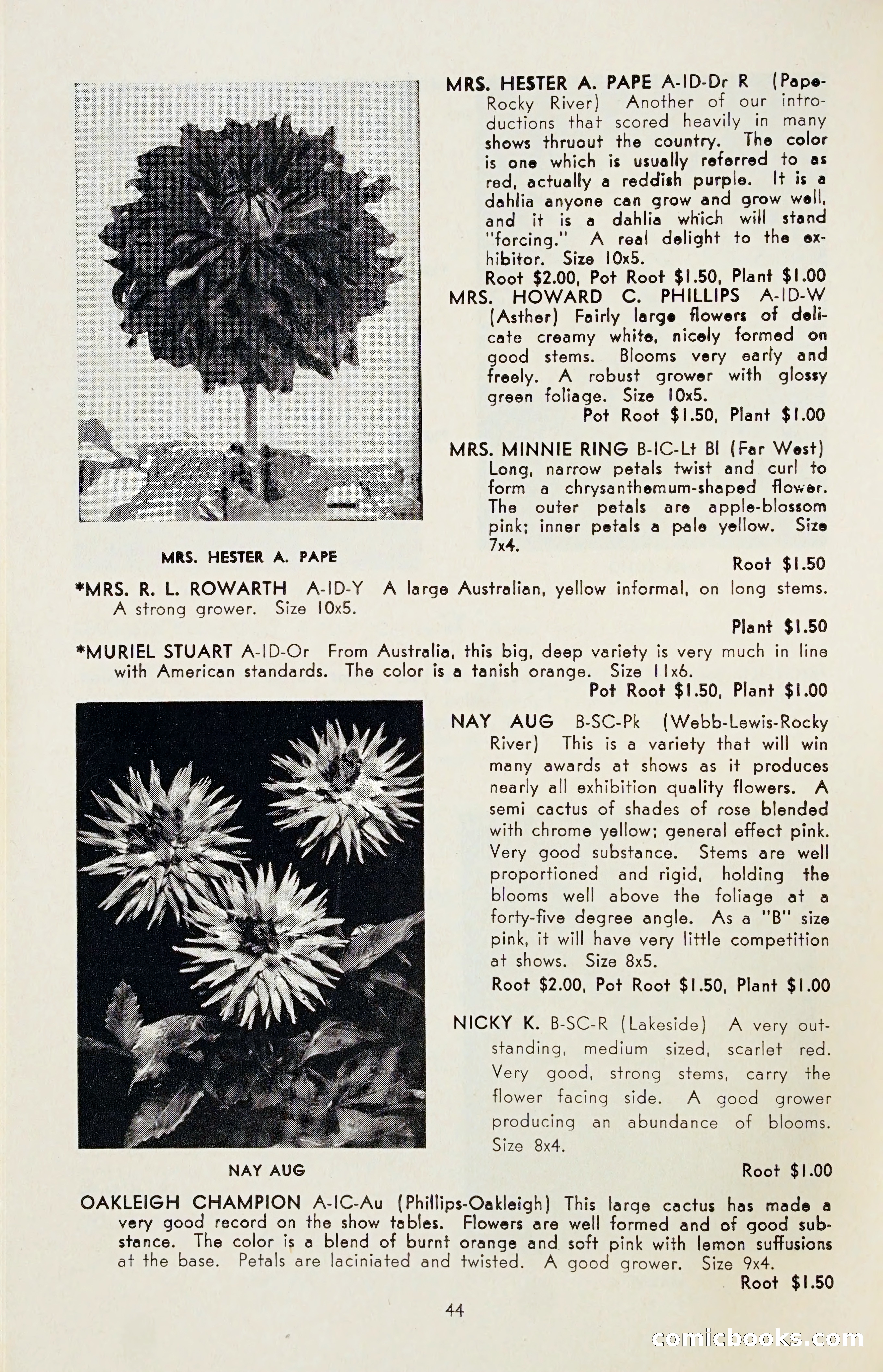 The Dahlia Blue Book for 1955 — page 47 of 79