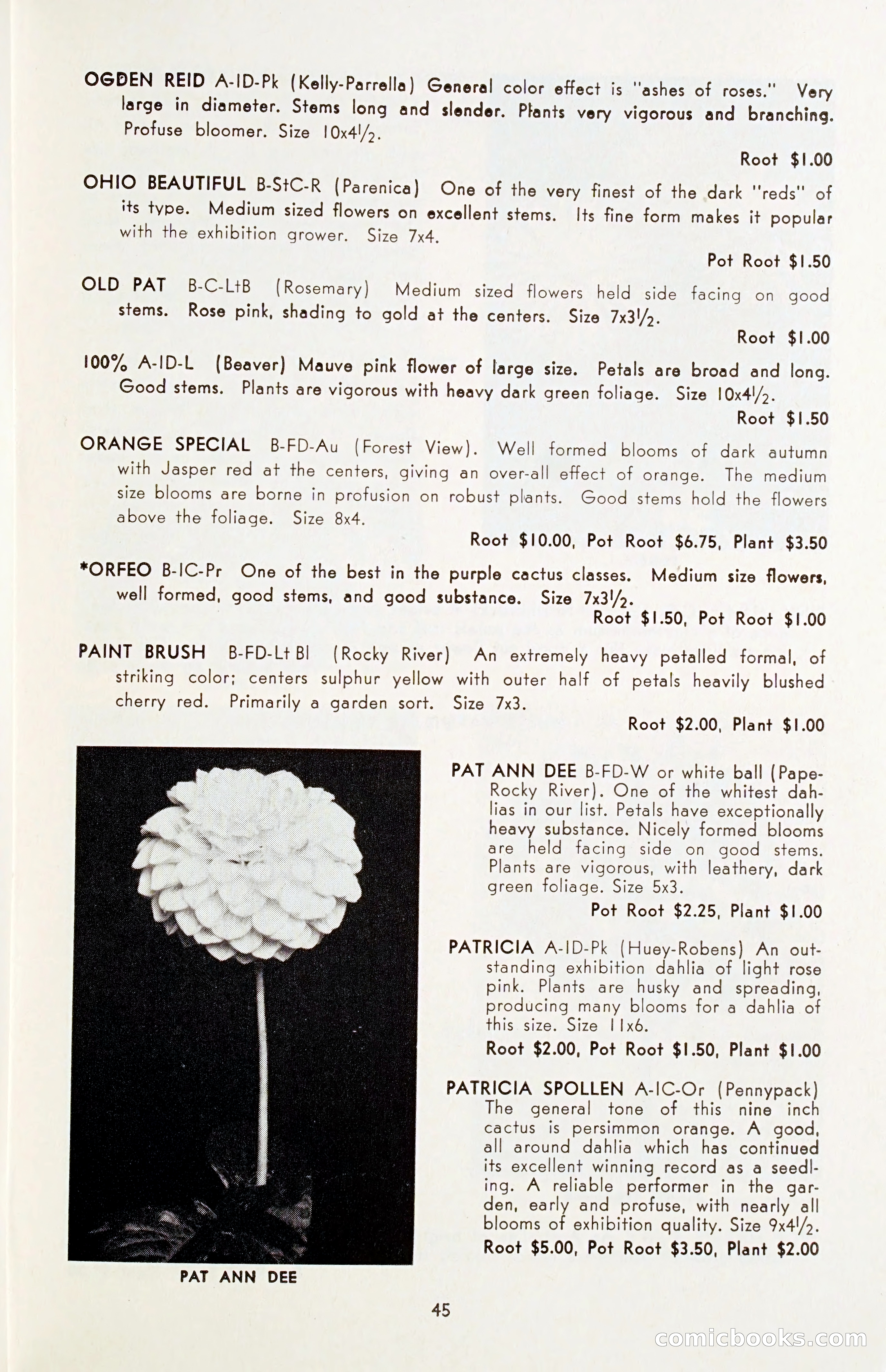 The Dahlia Blue Book for 1955 — page 48 of 79