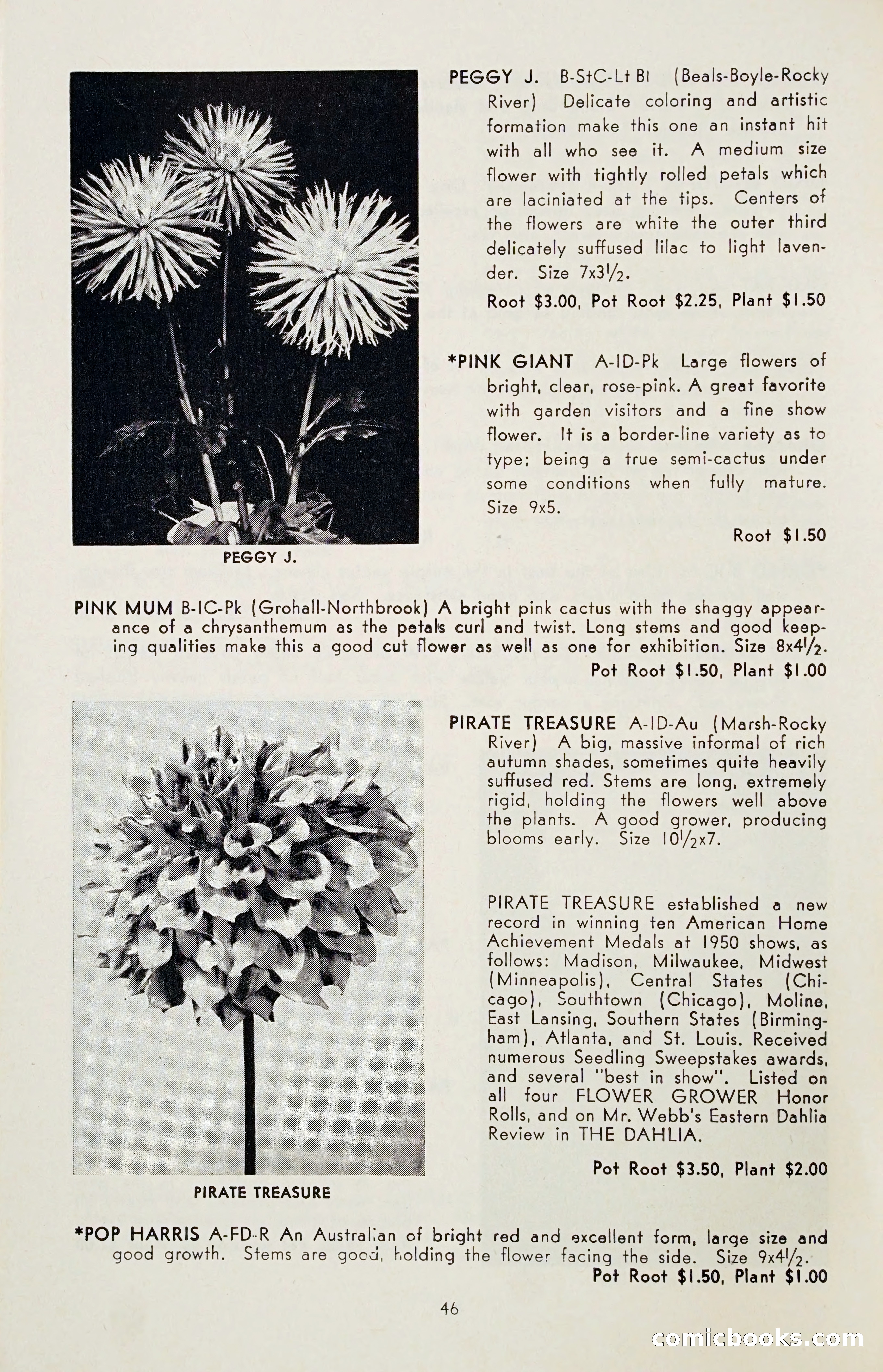 The Dahlia Blue Book for 1955 — page 49 of 79