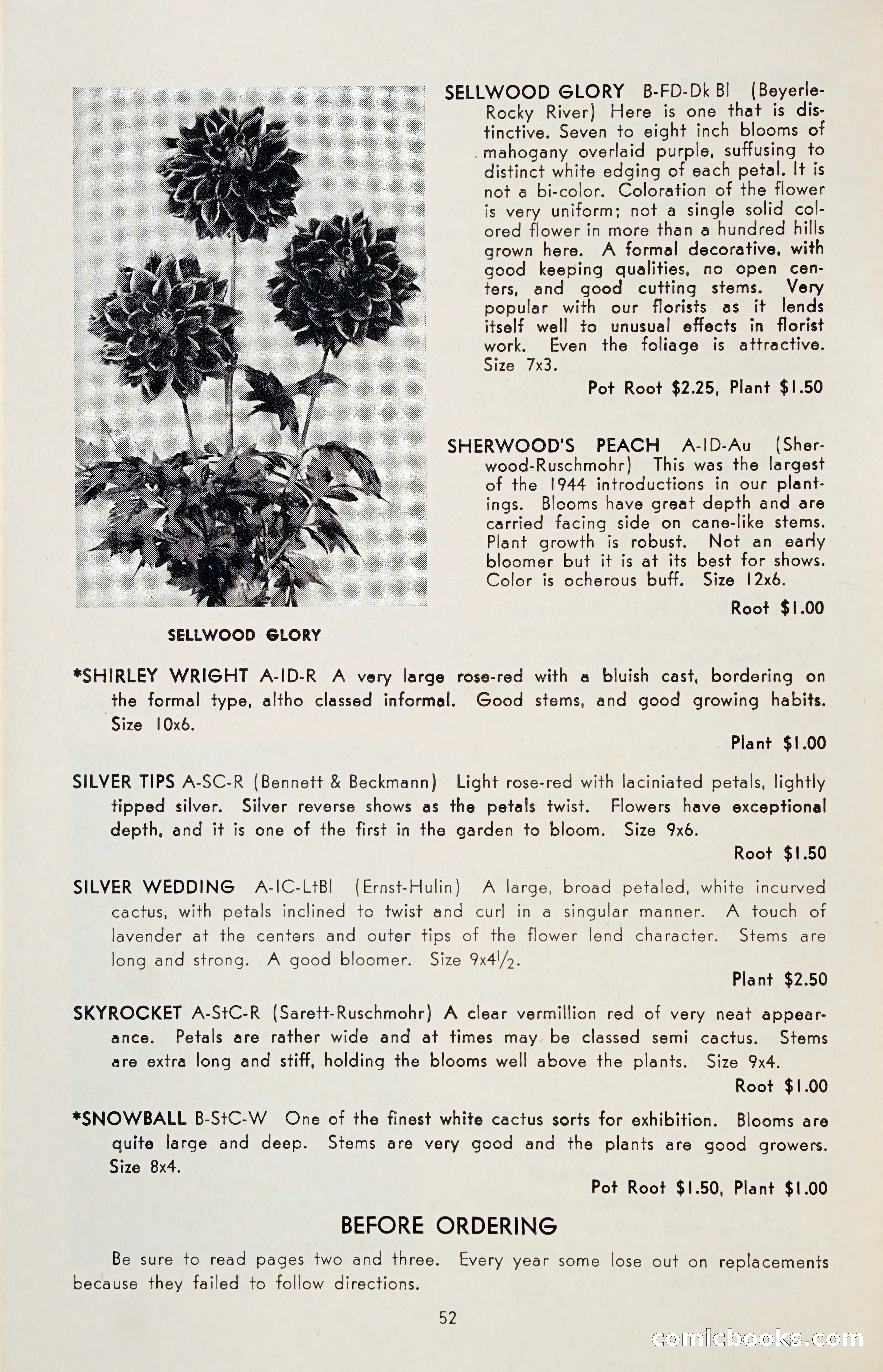 The Dahlia Blue Book for 1955 — page 55 of 79